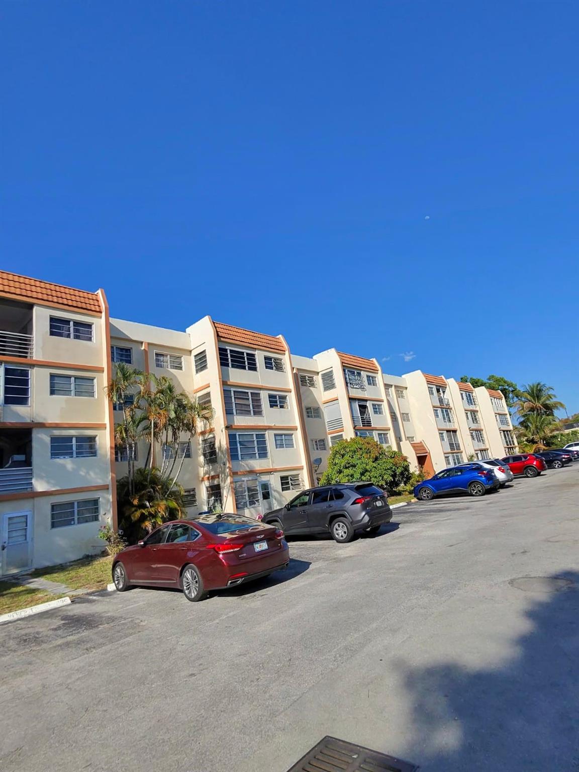 Cypress Tree Building