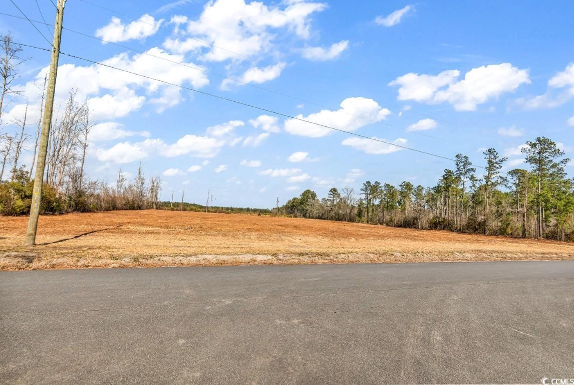TBD Bellaire Dr. Nichols, SC 29581