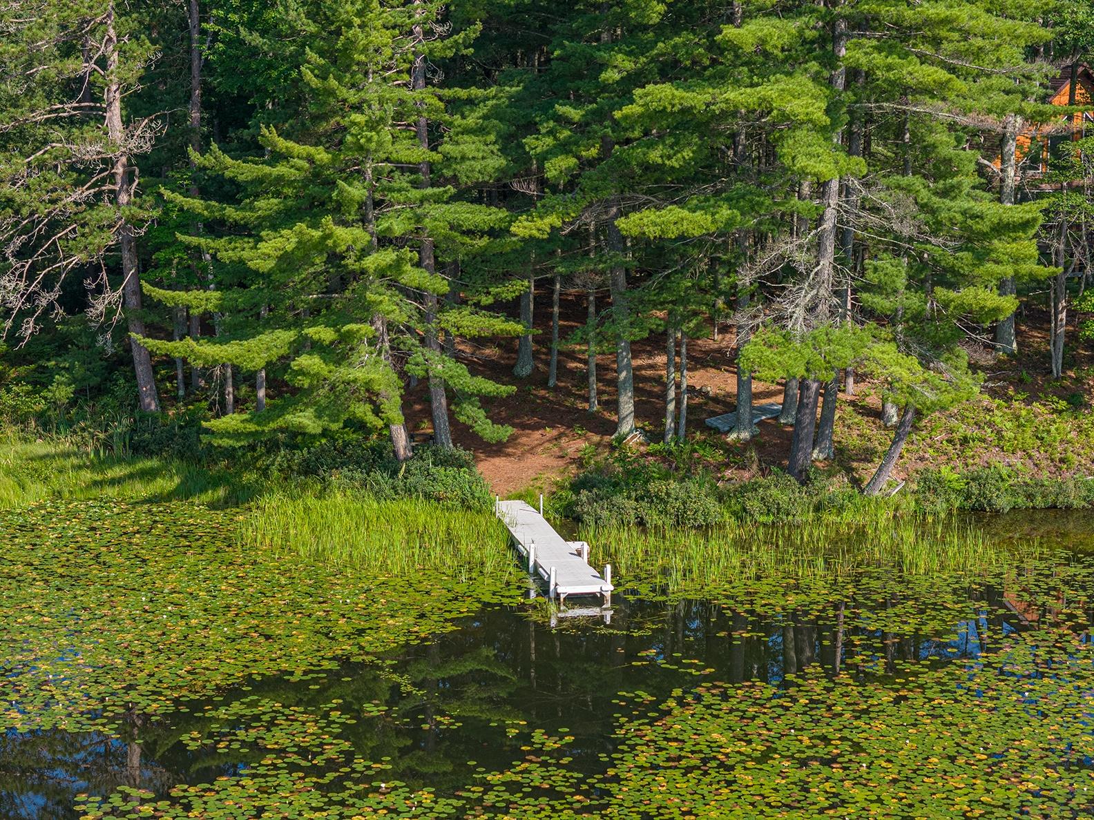 Picture 01 - Upper Buckatabon Lake Property 210978