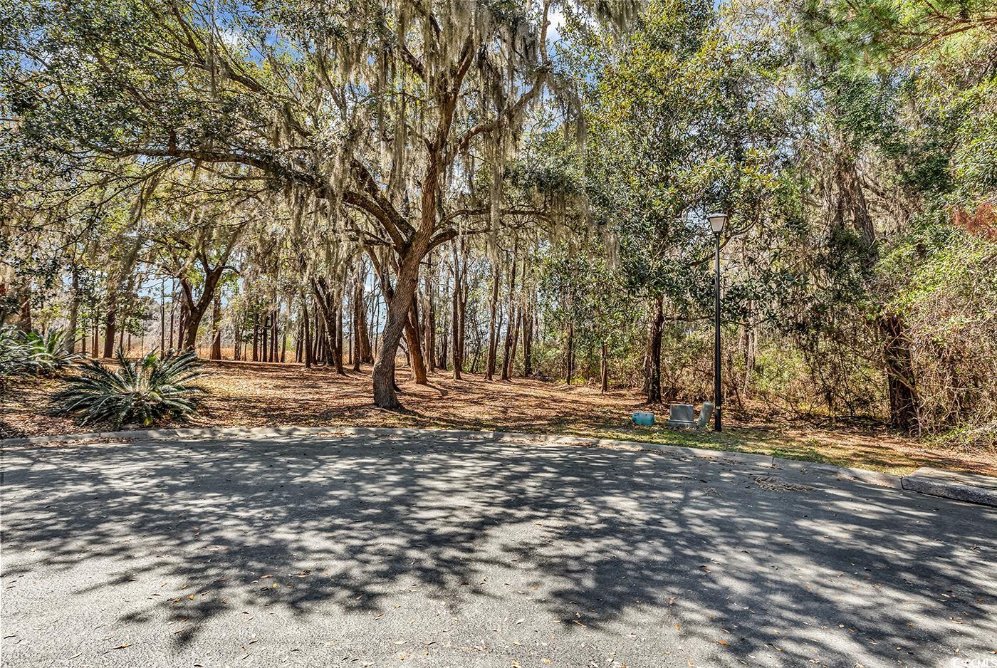TBD Congressional Dr. Pawleys Island, SC 29585