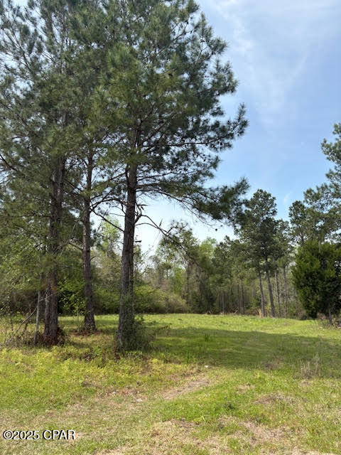 Image 75 For 5495 Highway 90