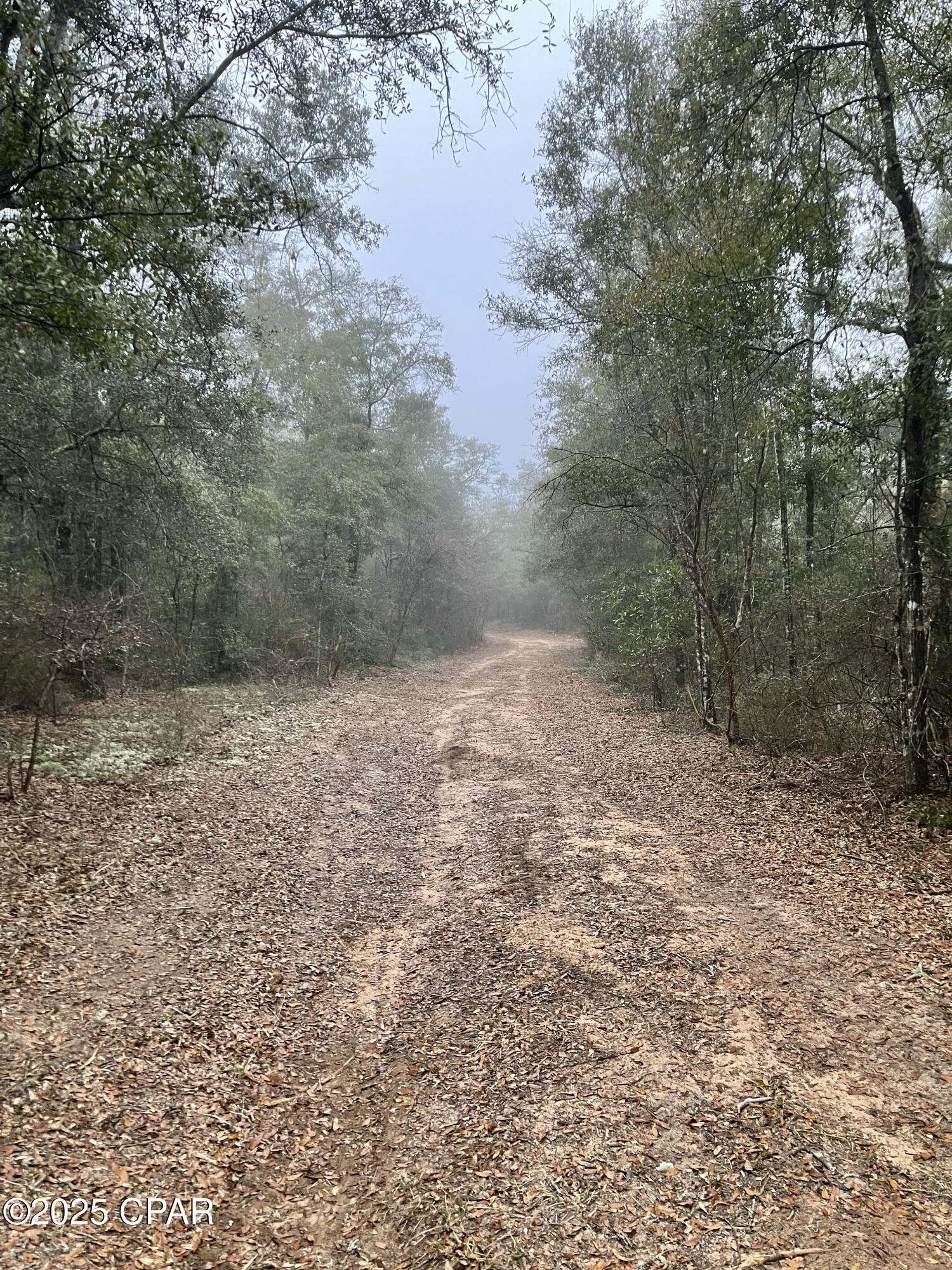 Image 12 For 2711 Stallings Road