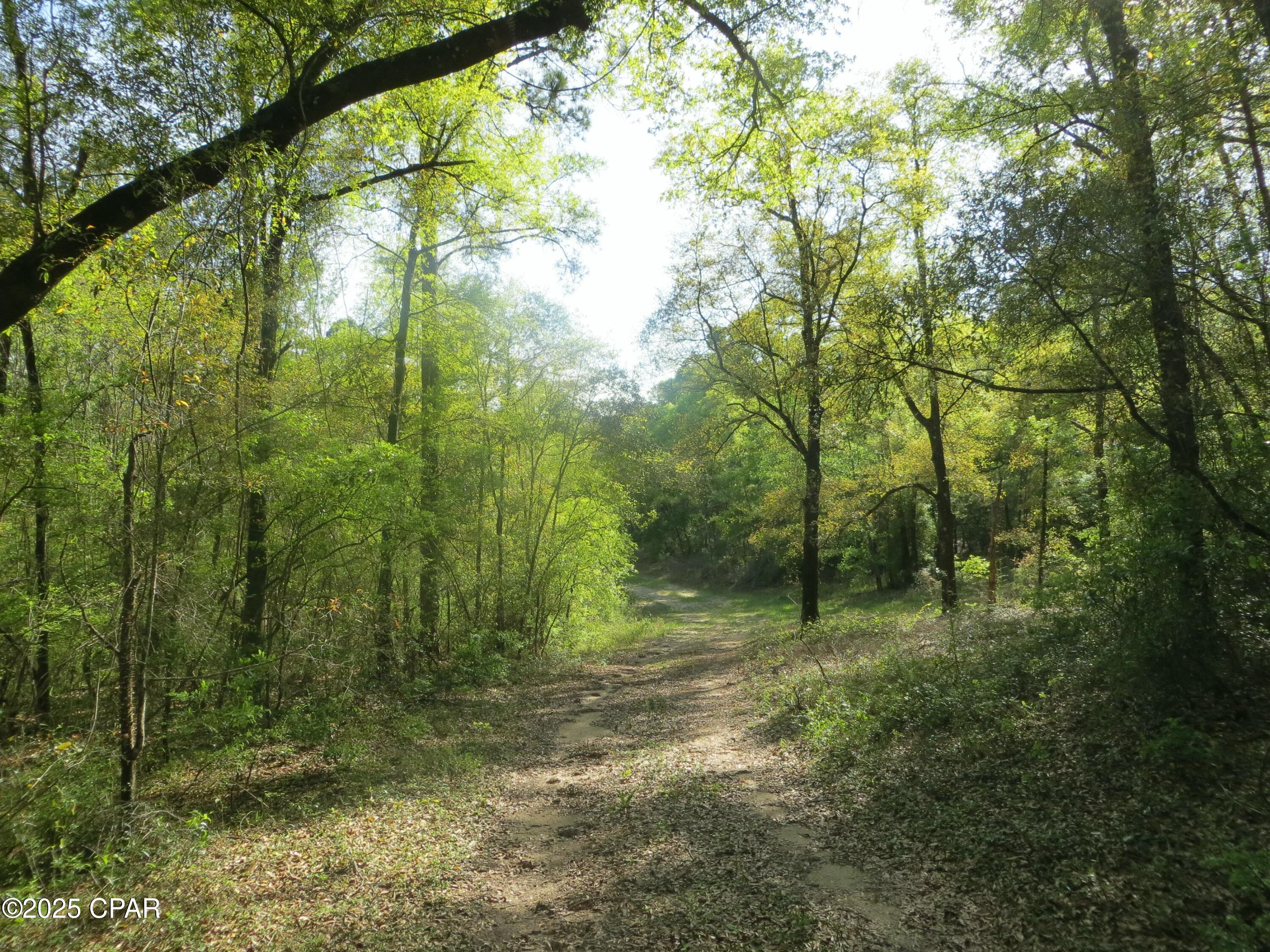 Image 16 For 2711 Stallings Road
