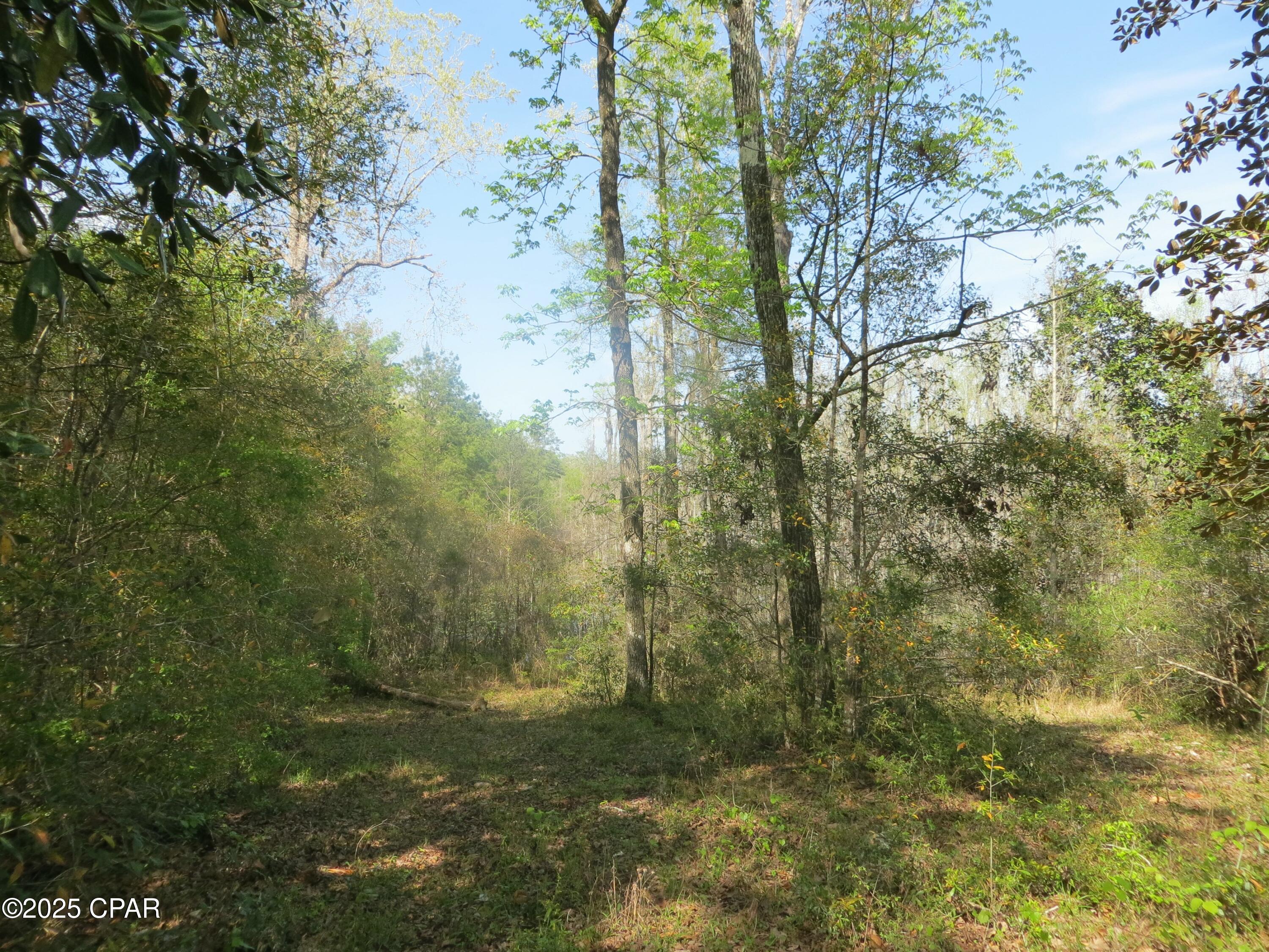 Image 18 For 2711 Stallings Road