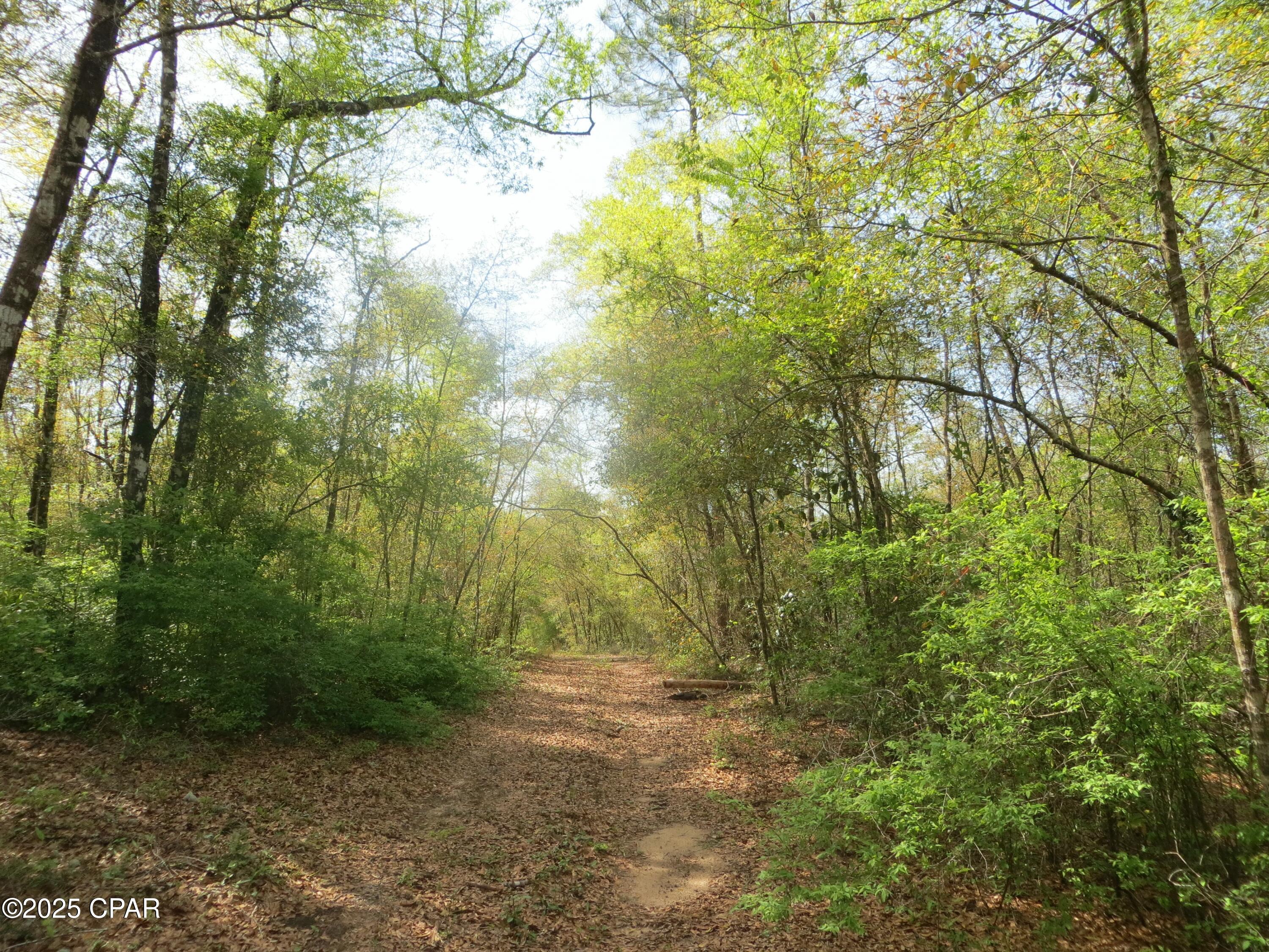 Image 2 For 2711 Stallings Road