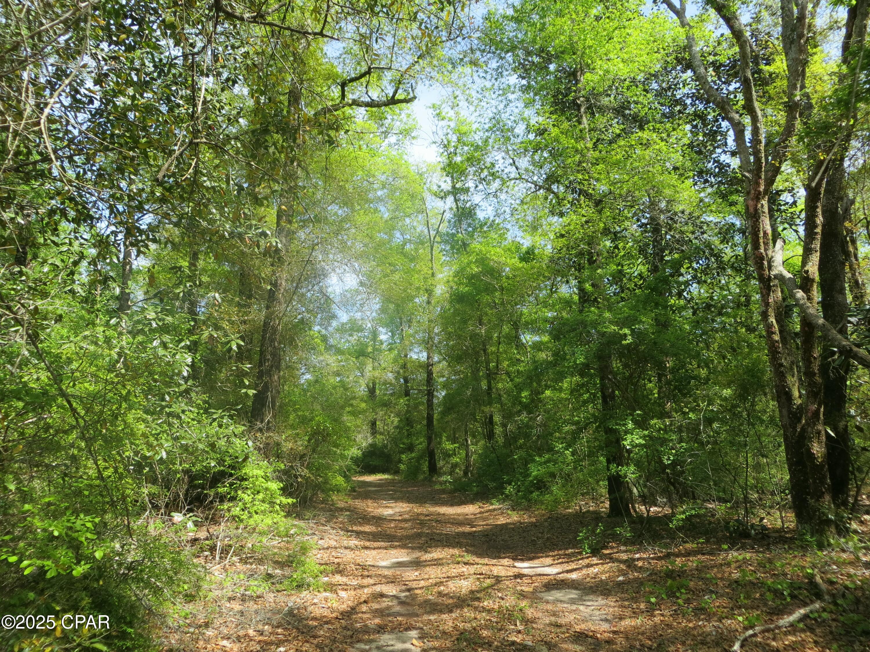 Image 4 For 2711 Stallings Road