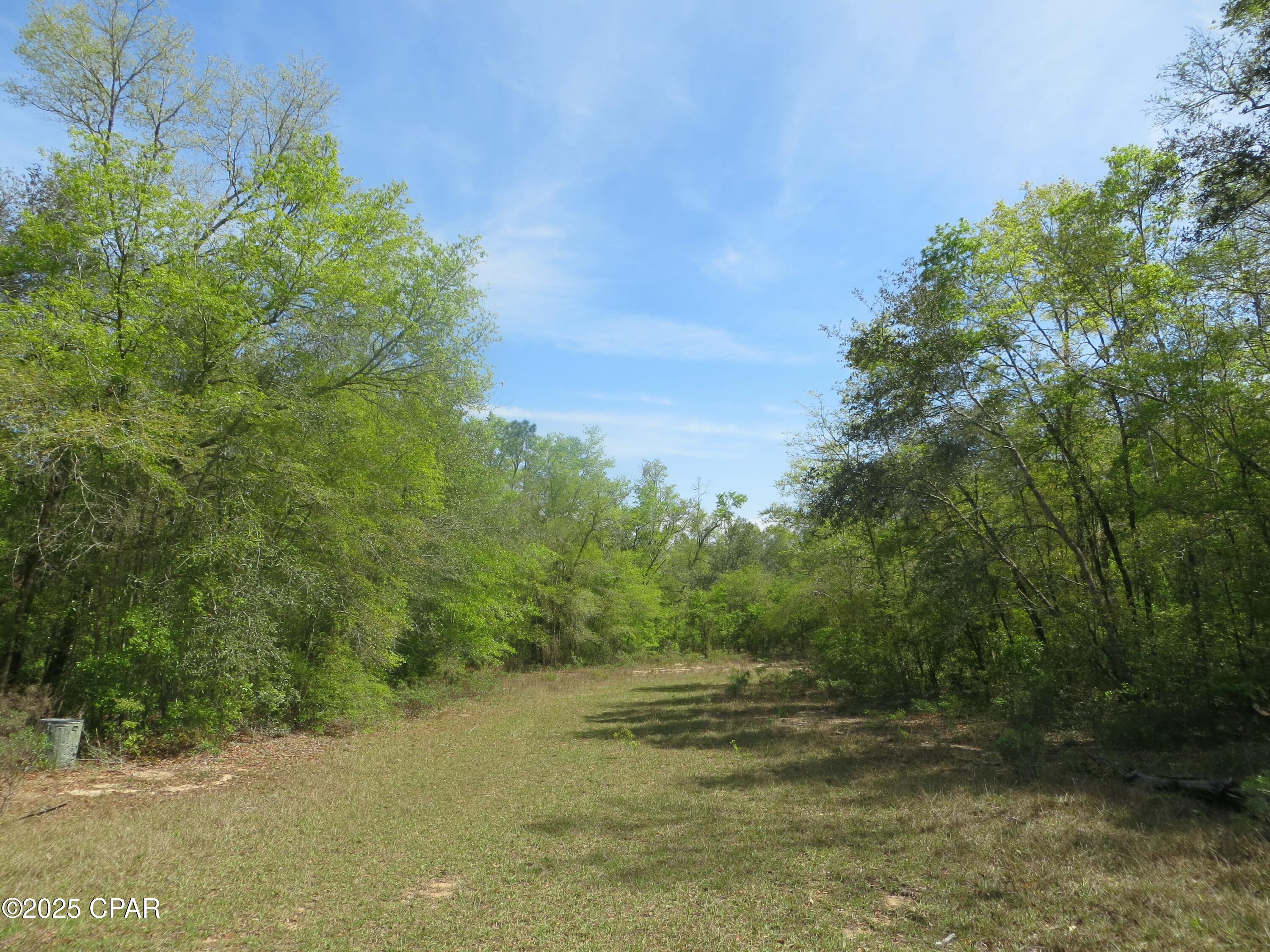 Image 5 For 2711 Stallings Road