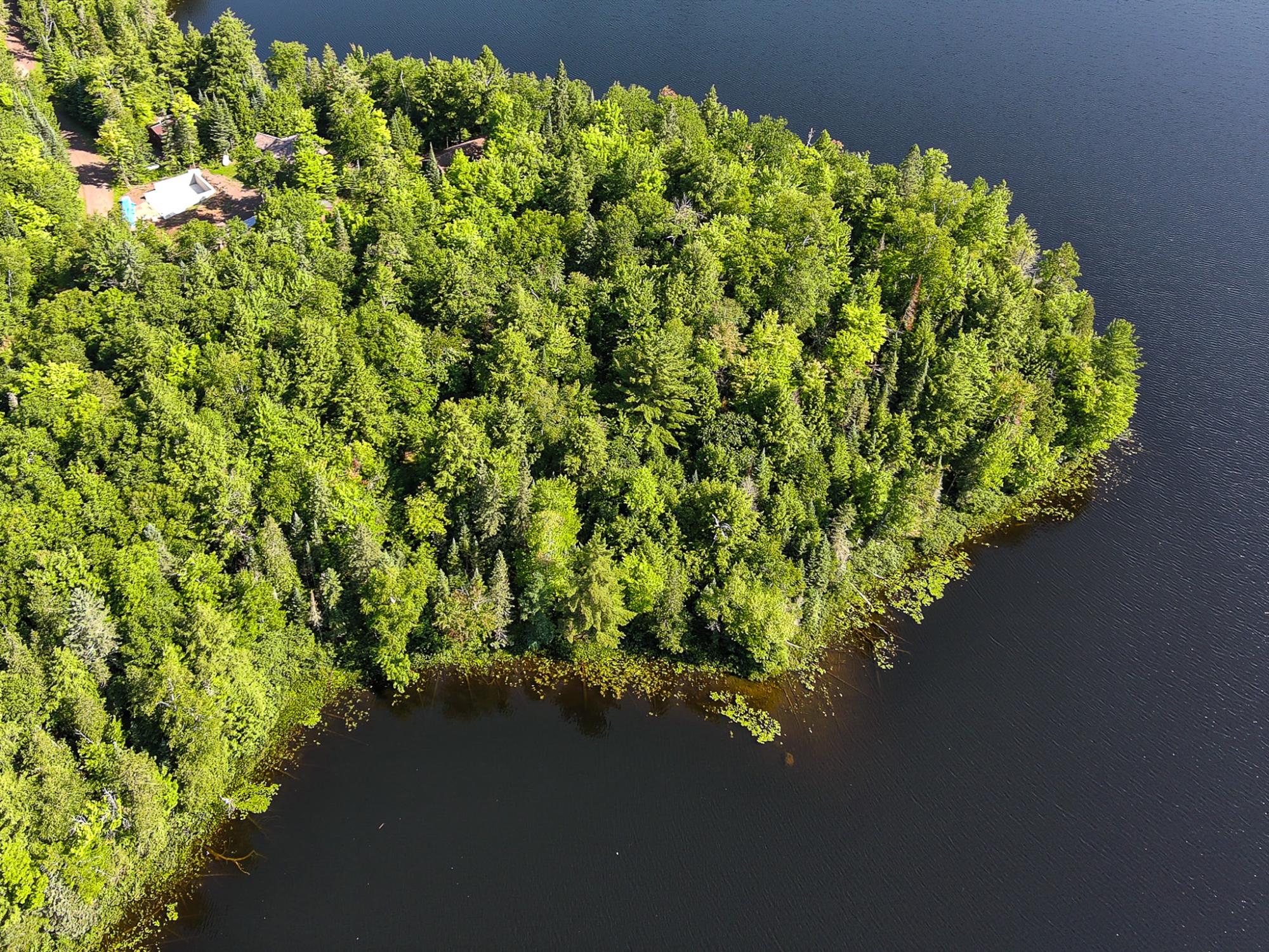 Lake Adelaide Property ON Adelaide Dr Photo 1