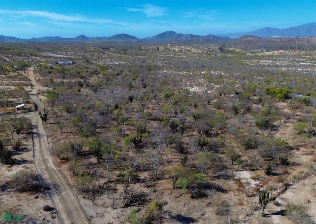 S/N SN, San José del Cabo (Los Cabos), Los Cabos, Baja California Sur