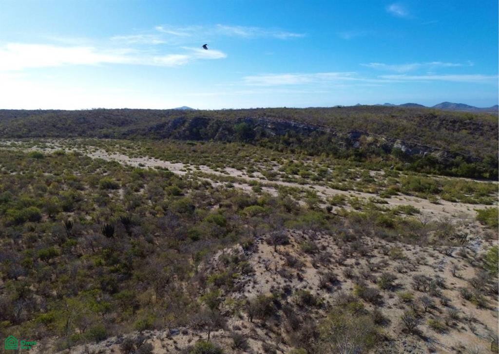 S/N SN, San José del Cabo (Los Cabos), Los Cabos, Baja California Sur