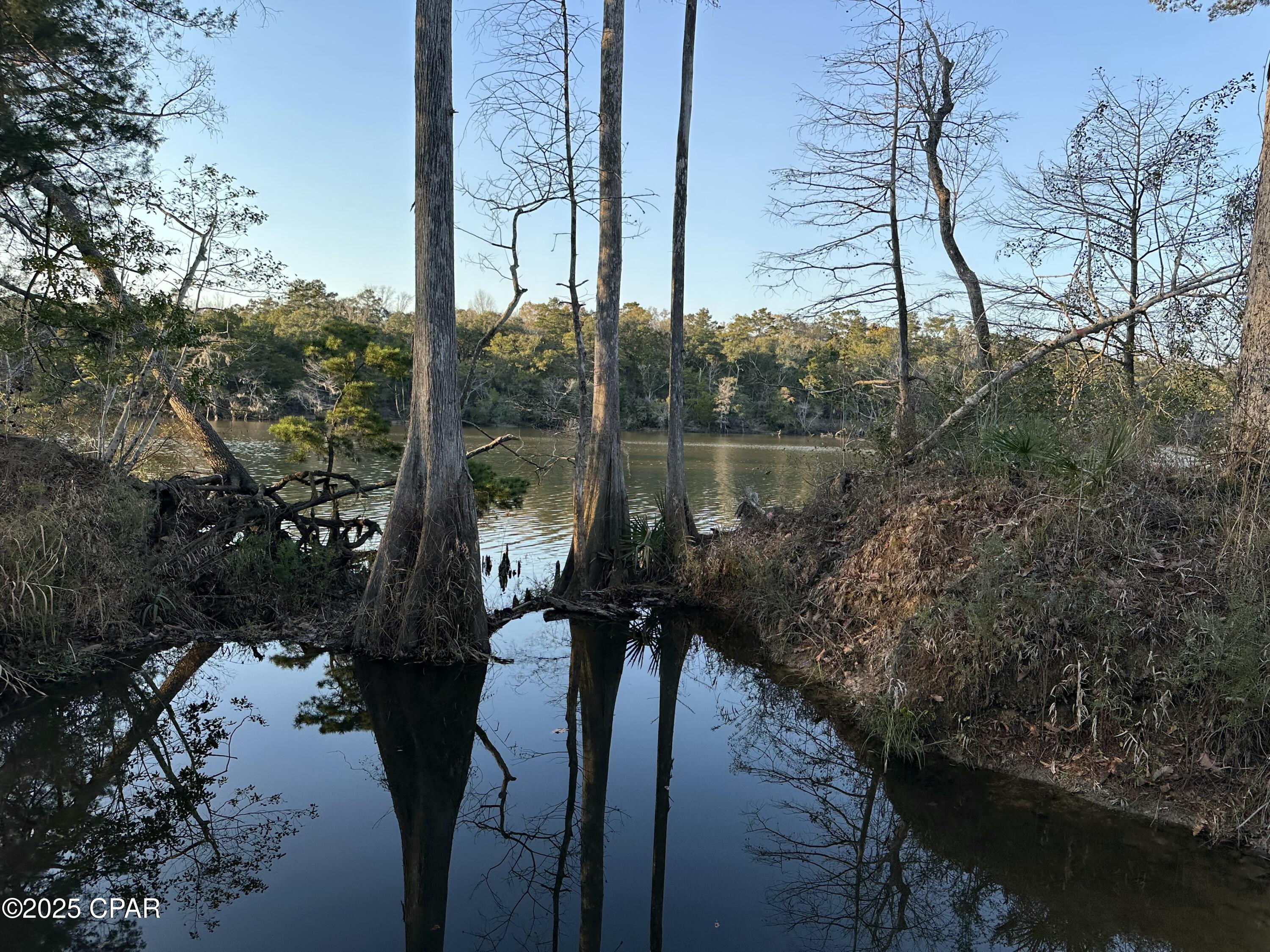 Image 9 For 0000 Strickland Road