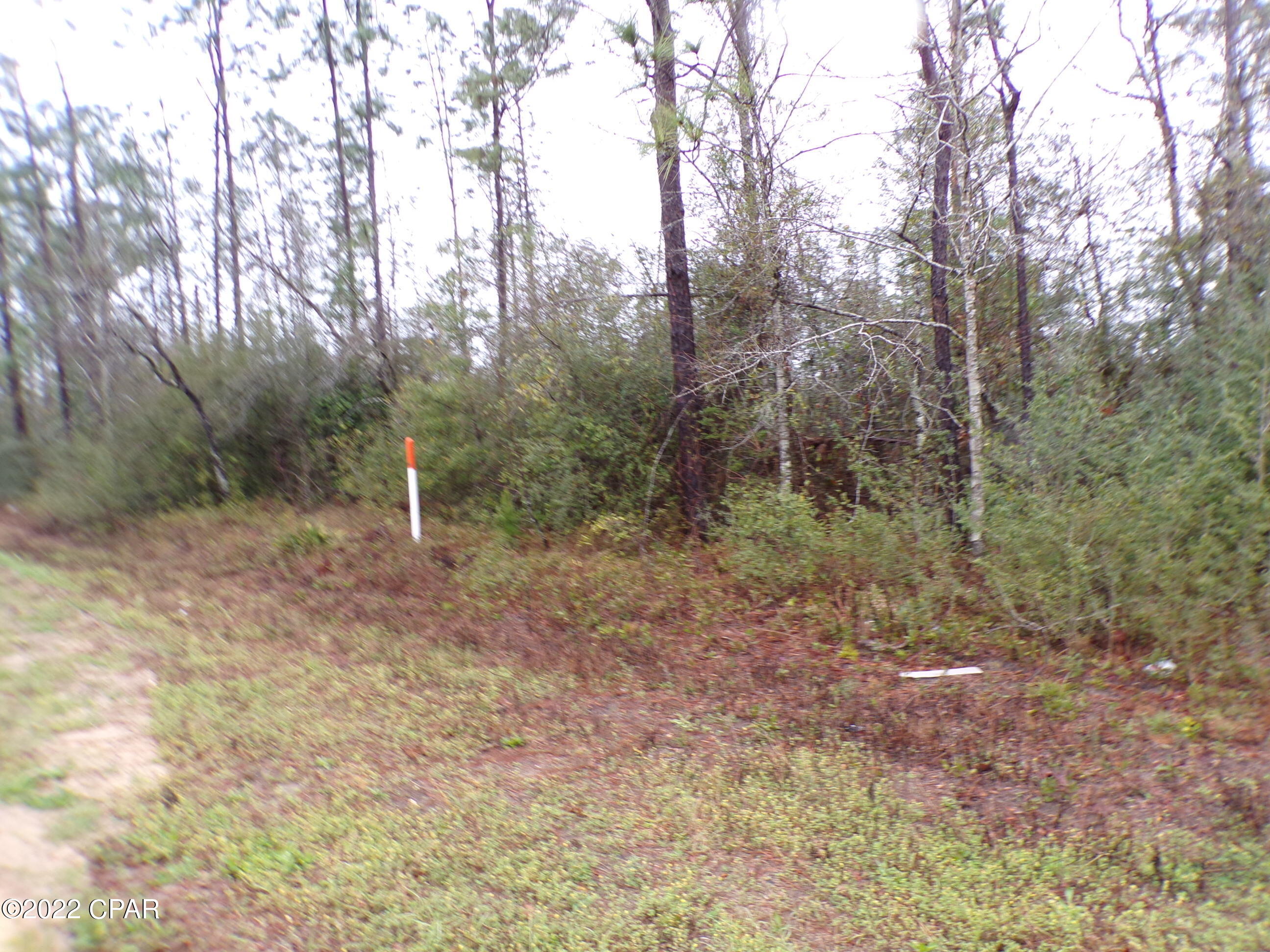 Image 11 For 0 Hwy 20  