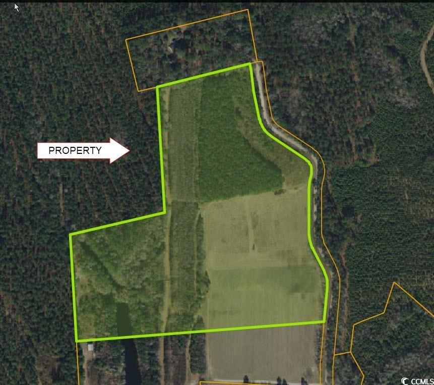 TBD Womack Rd. Nichols, SC 29581