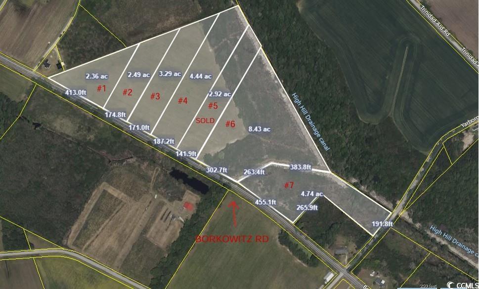 Tract 4 Borkowitz Rd. Scranton, SC 29591