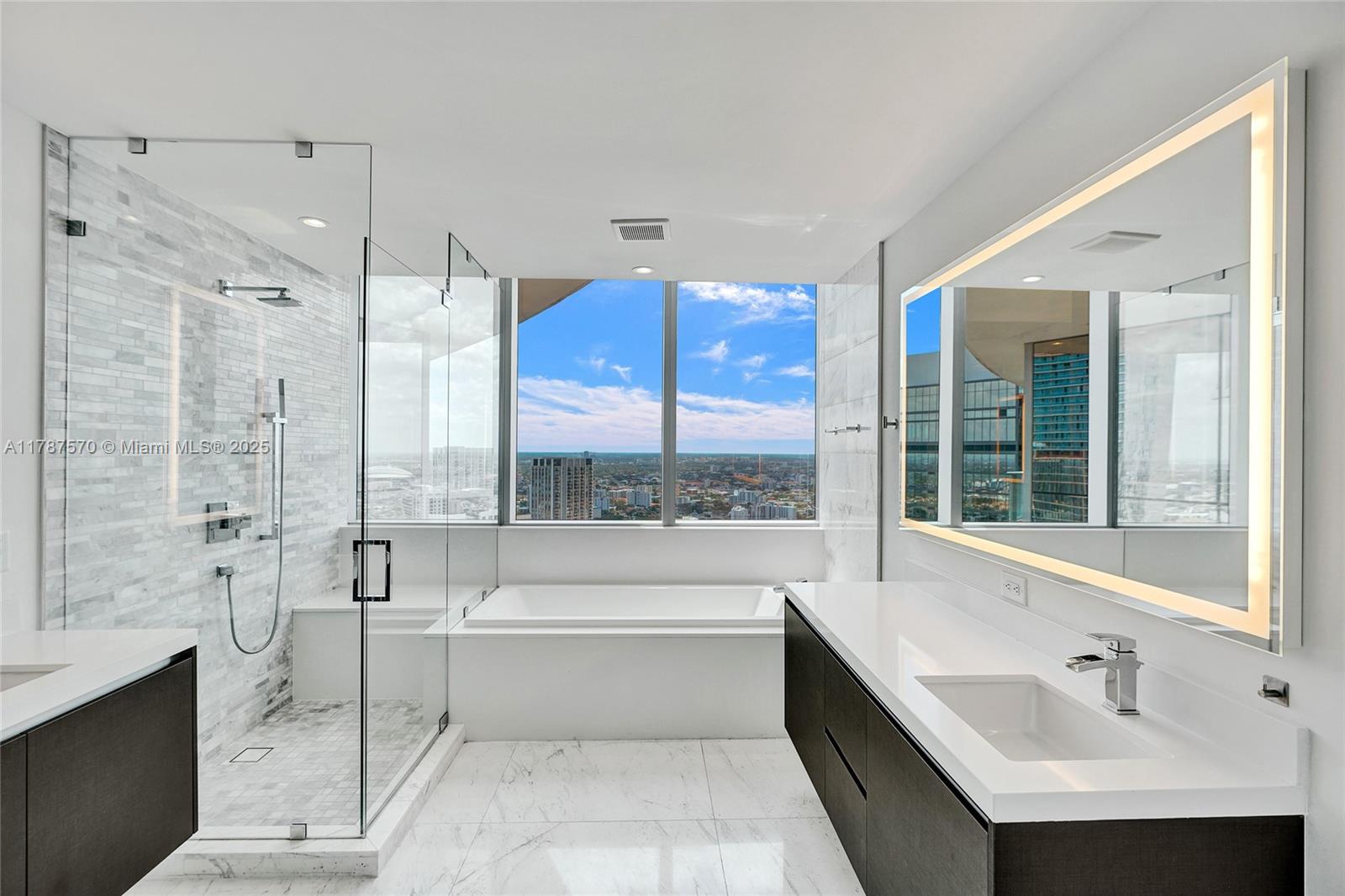 851 NE 1st Ave #4502, Miami FL 33132