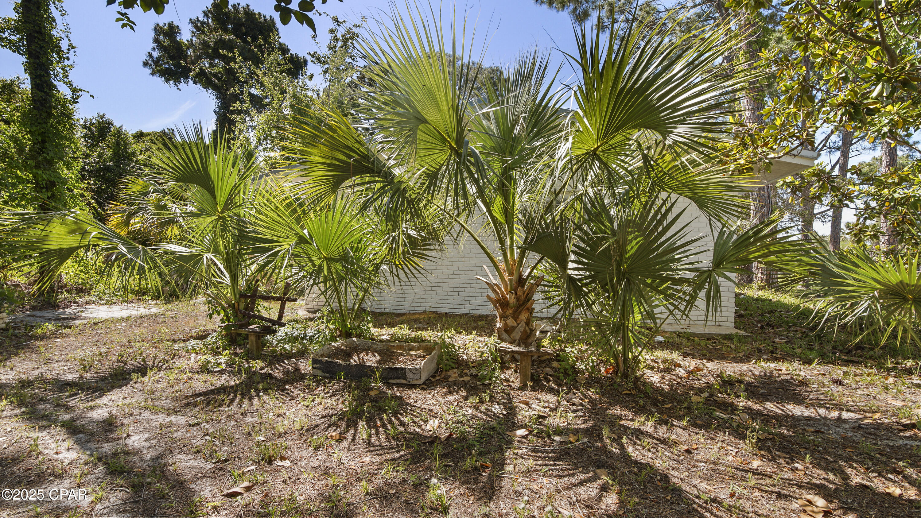 Image 37 For 3915 Wasp Street