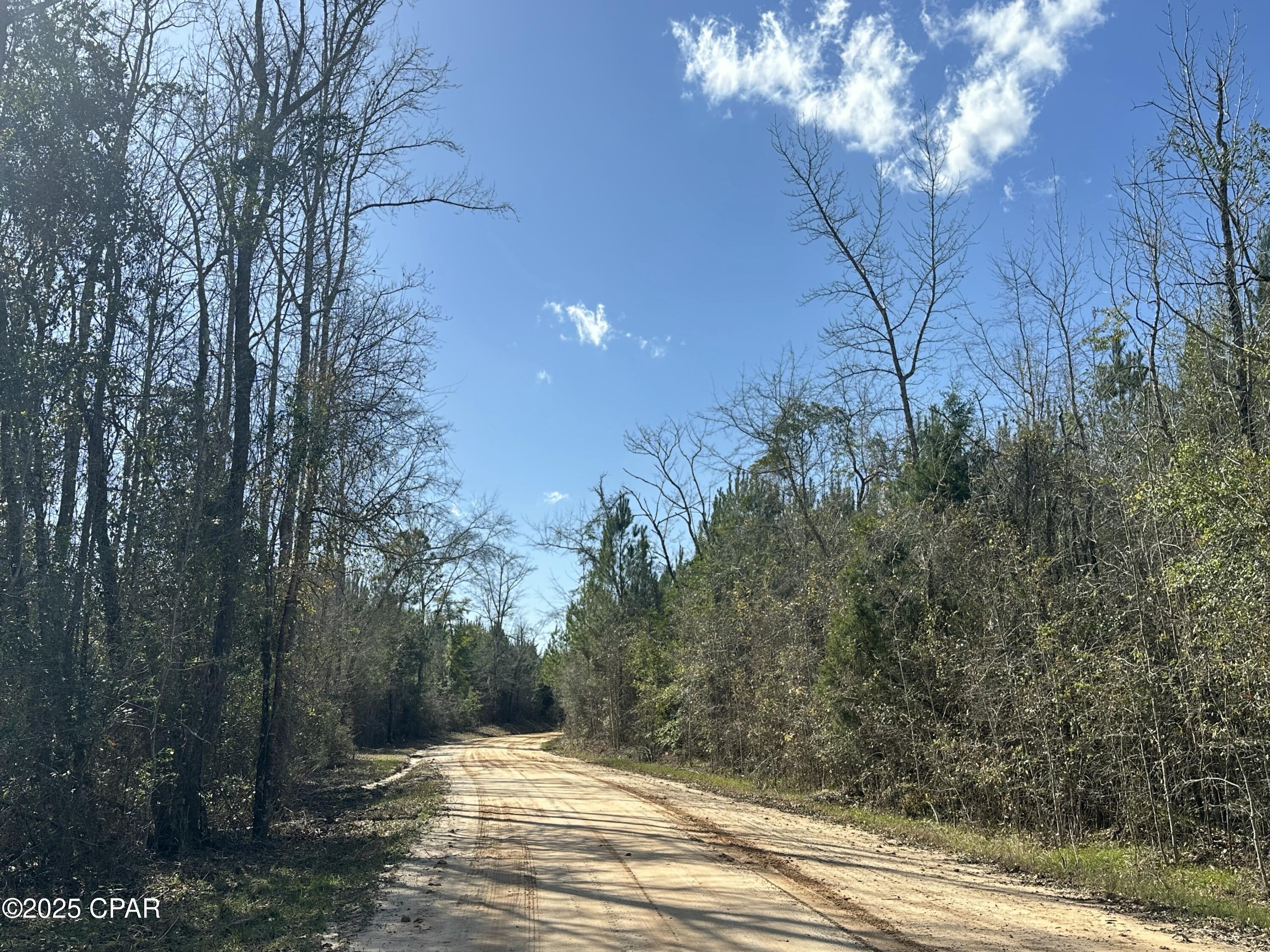 Image 3 For Tract#6317 Harris Stevenson Road