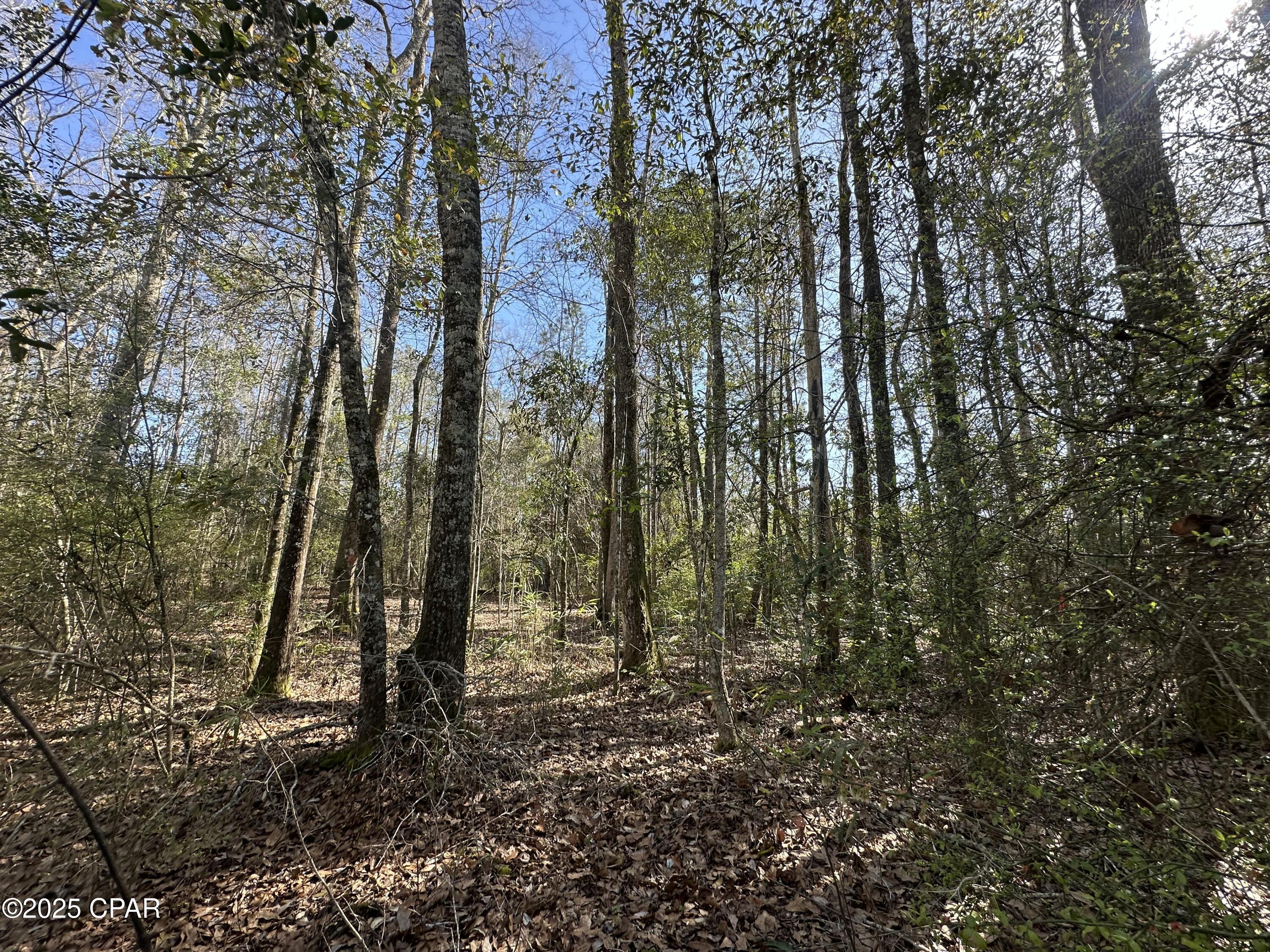 Image 4 For Tract#6317 Harris Stevenson Road