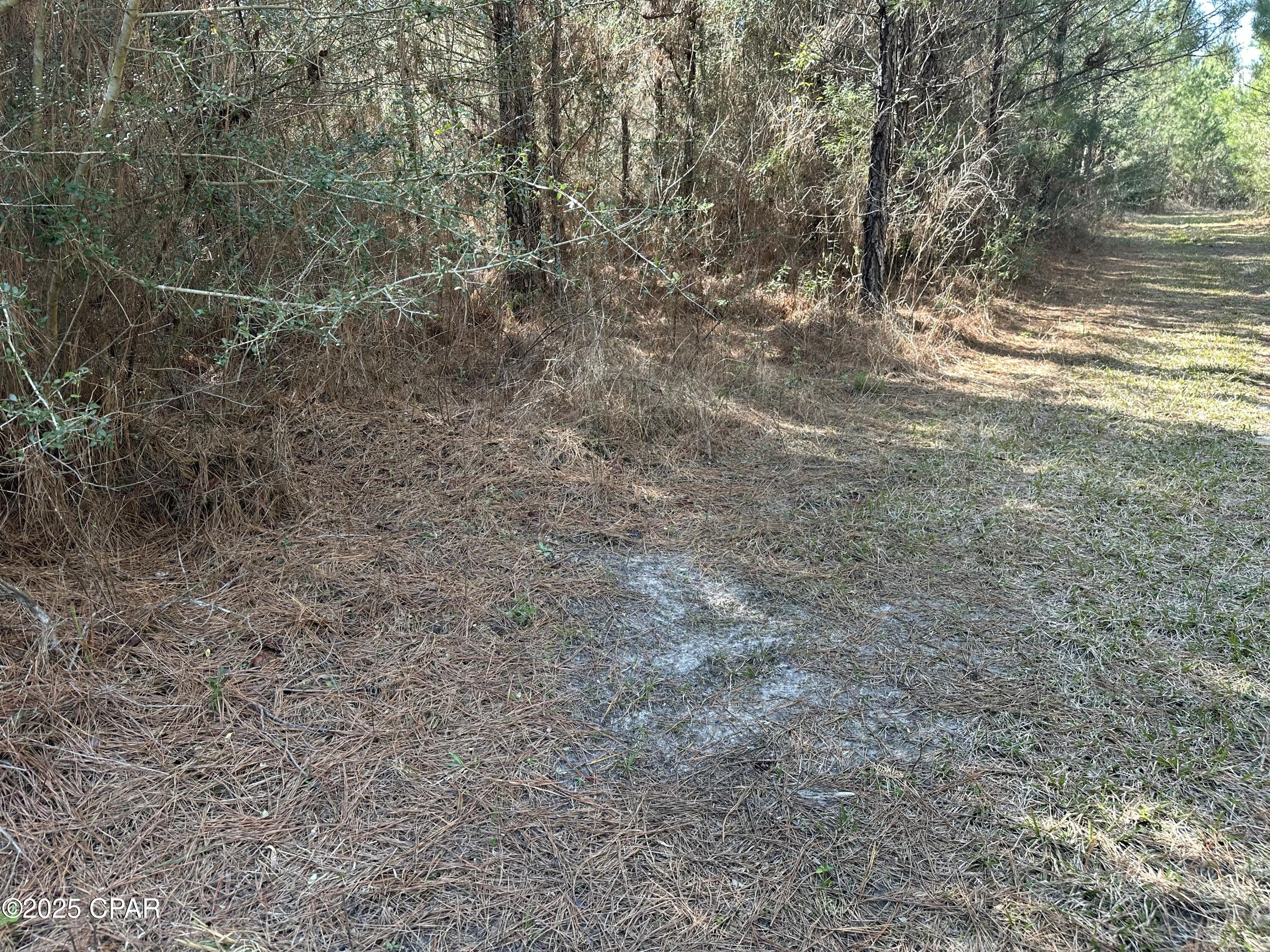 Image 6 For Tract#6317 Harris Stevenson Road