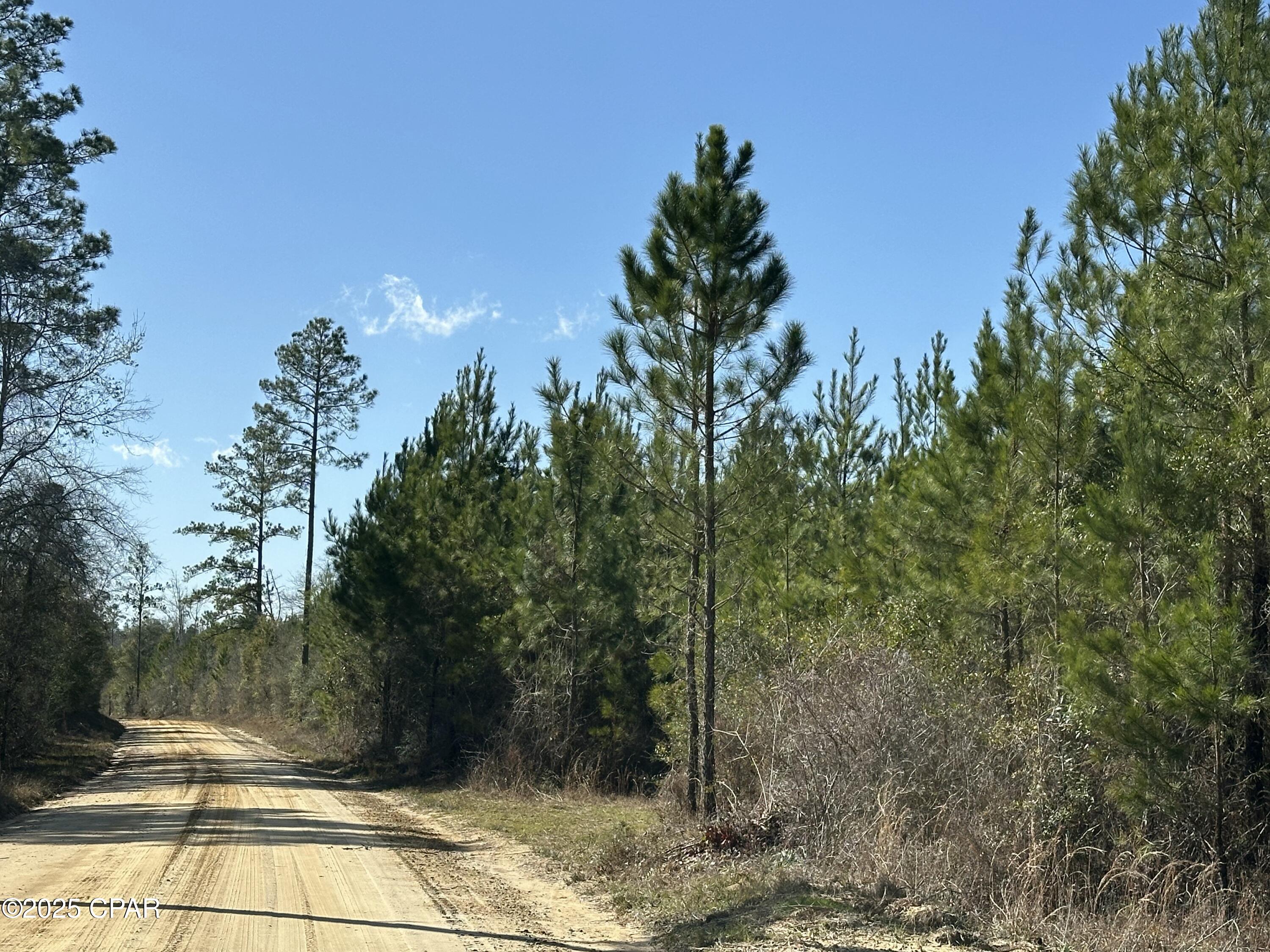 Image 9 For Tract#6317 Harris Stevenson Road