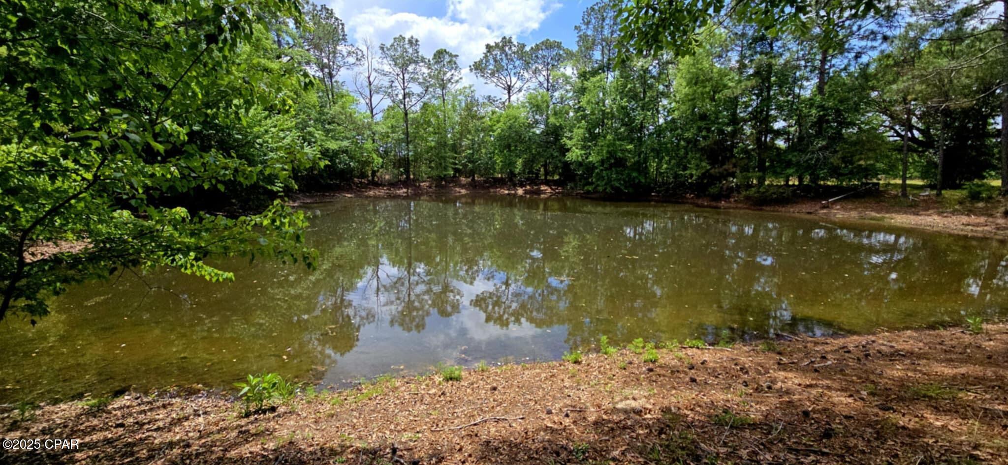 Image 10 For 1718 Robbins Bridge Road