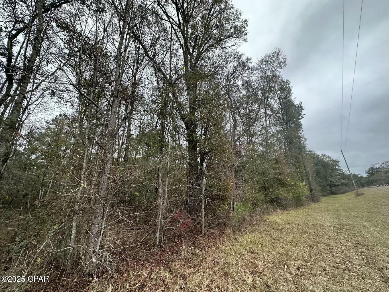 Image 6 For Tract#6326 Tri County Road  59 +-- Ac