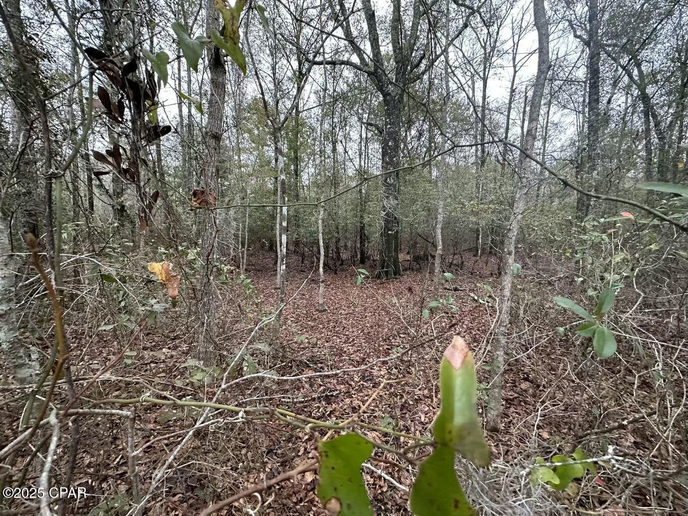 Image 7 For Tract#6326 Tri County Road  59 +-- Ac