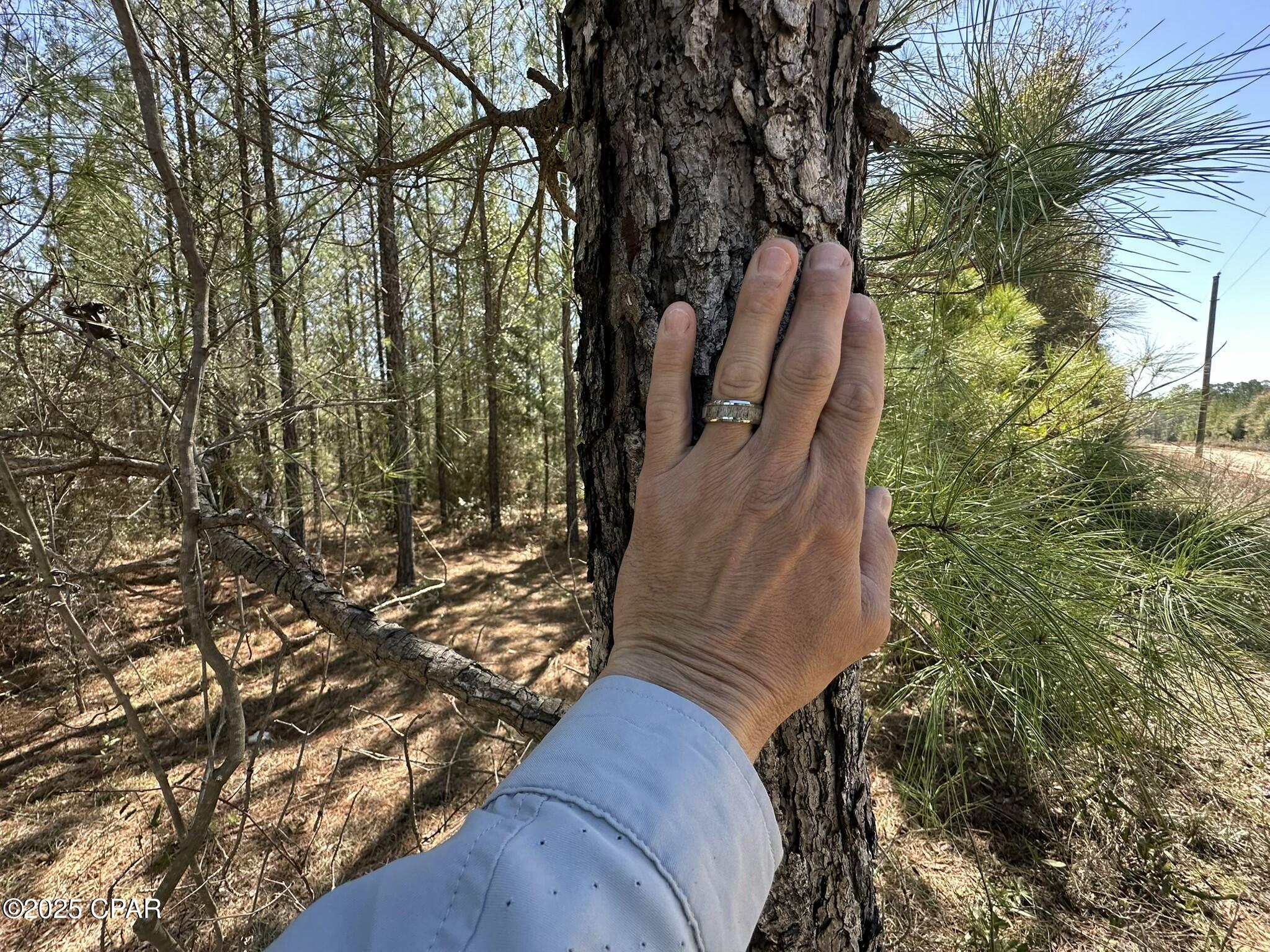 Image 3 For Tract#6418 Mattox Springs East North