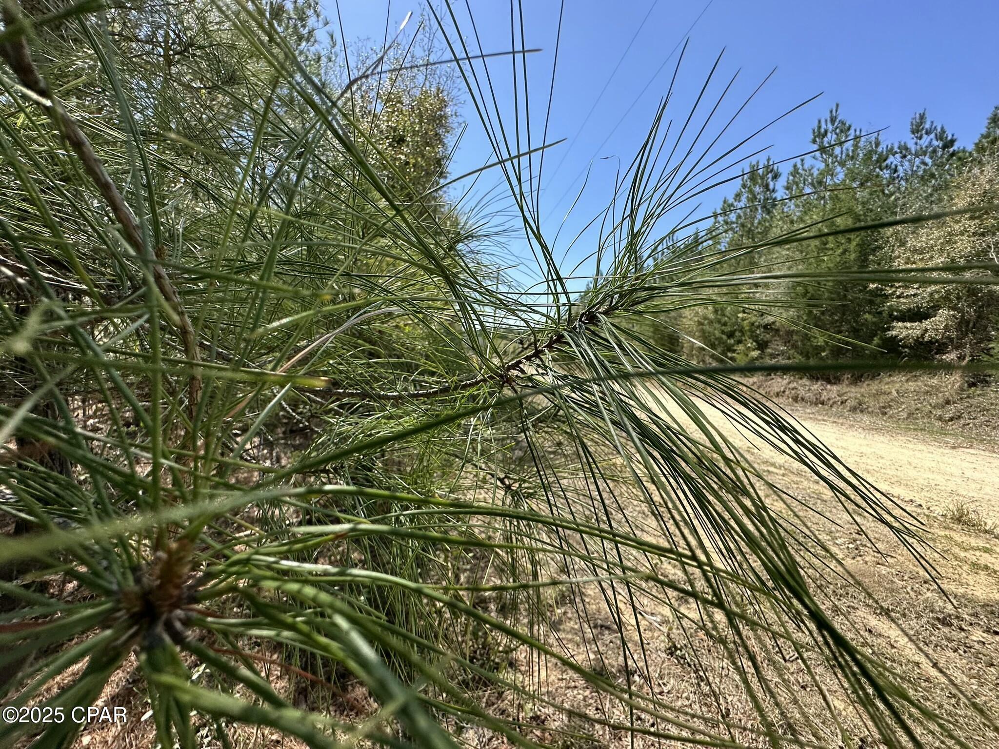 Image 4 For Tract#6418 Mattox Springs East North