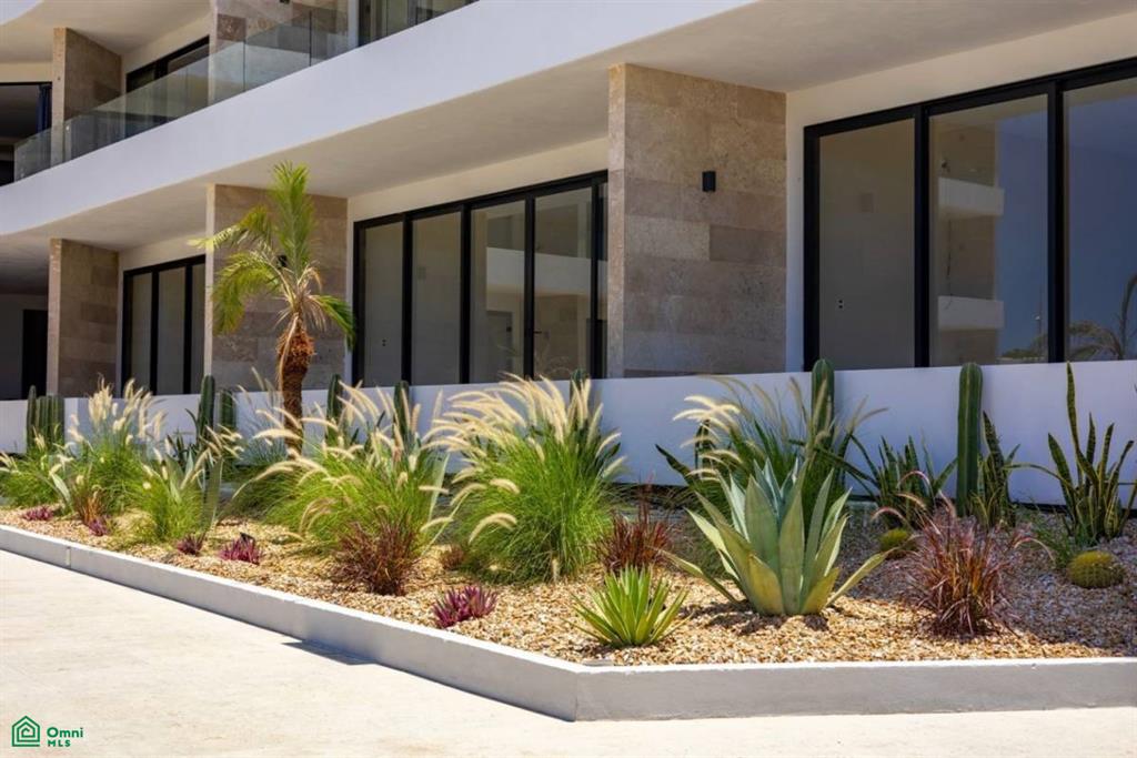 sn 207, El Tezal, Los Cabos, Baja California Sur