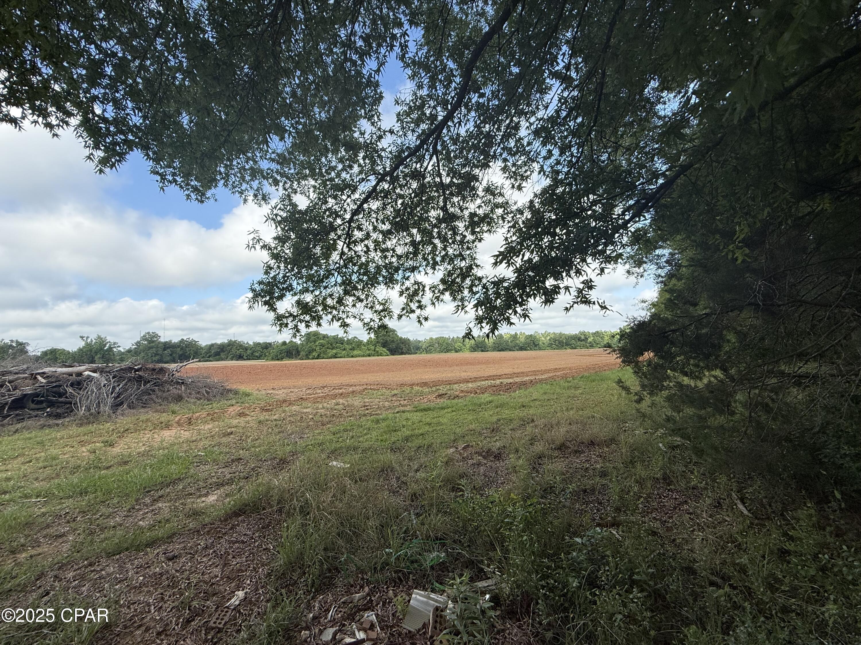 Image 5 For 3171 Highway 73