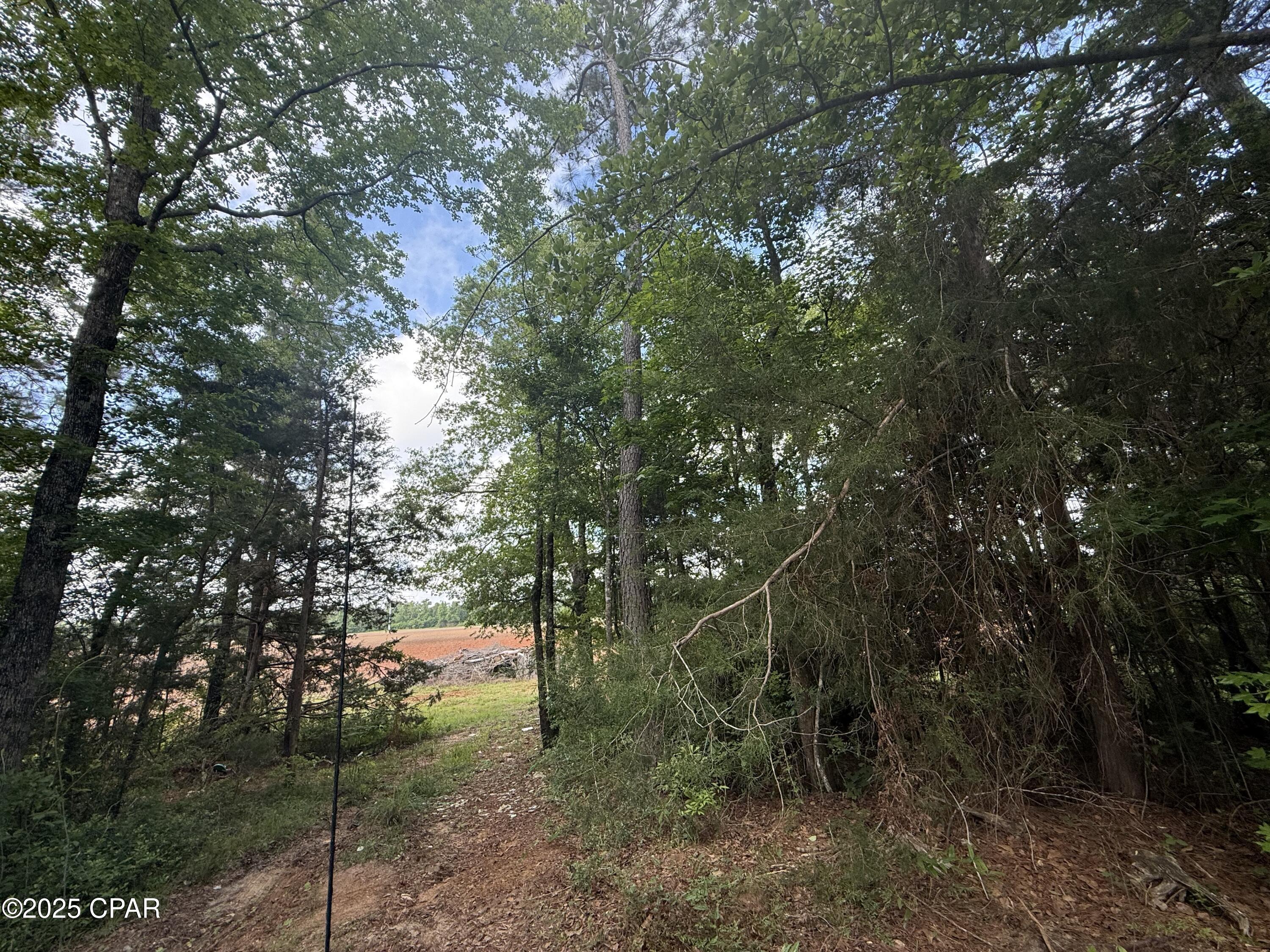 Image 7 For 3171 Highway 73