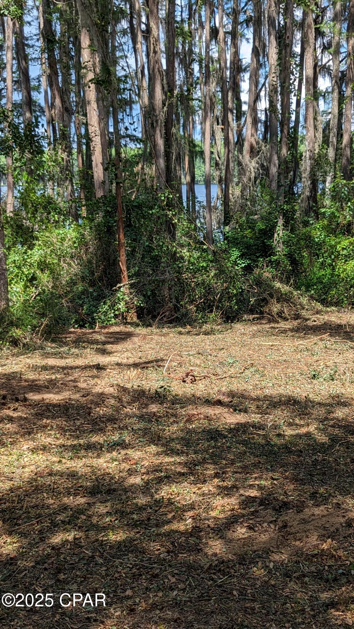 Image 4 For 0000 Moss Hill Road