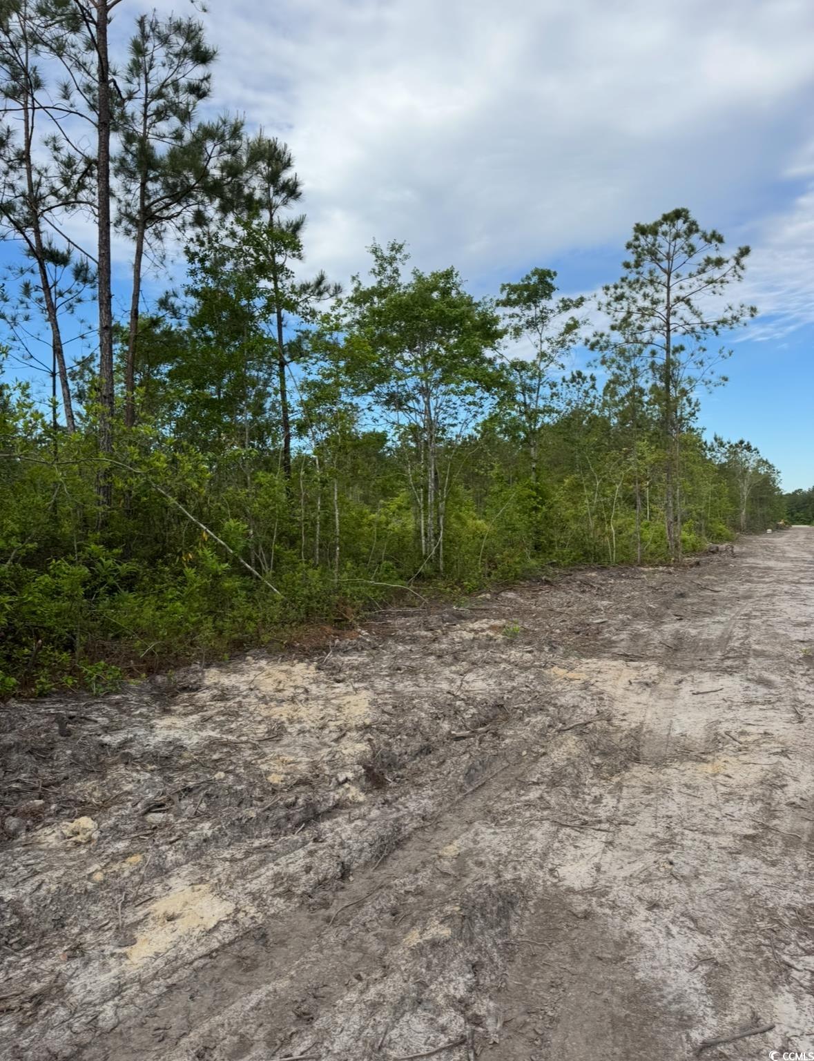 TBD Fowler School Rd. Loris, SC 29569