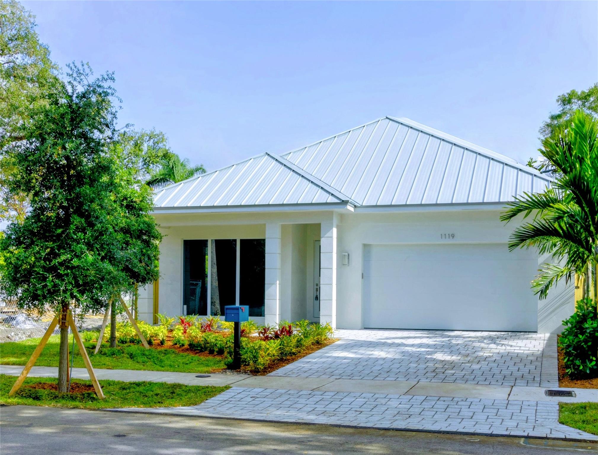 Yellowstone Park Amd