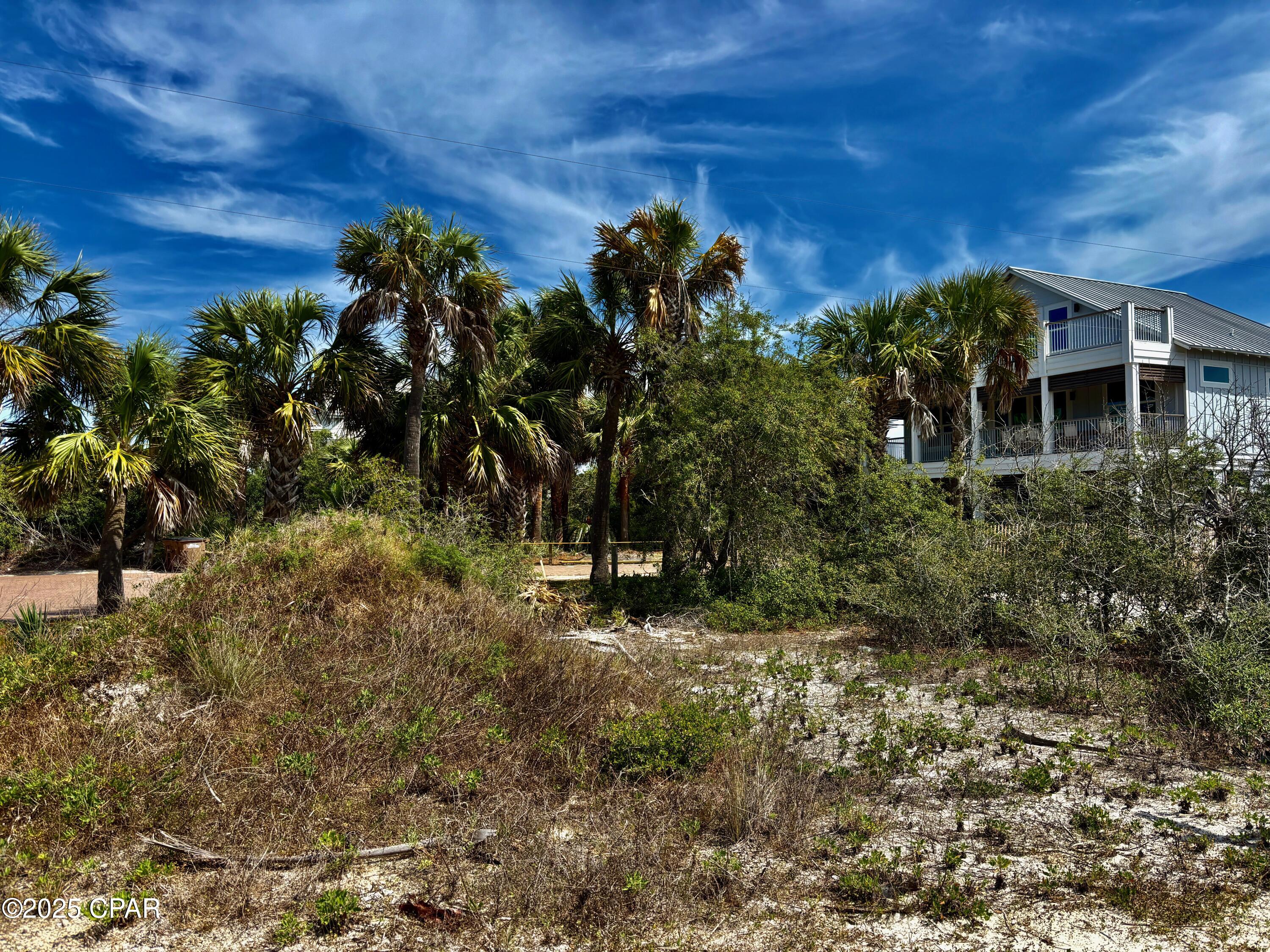 Image 7 For Lot B Cape San Blas Rd Road