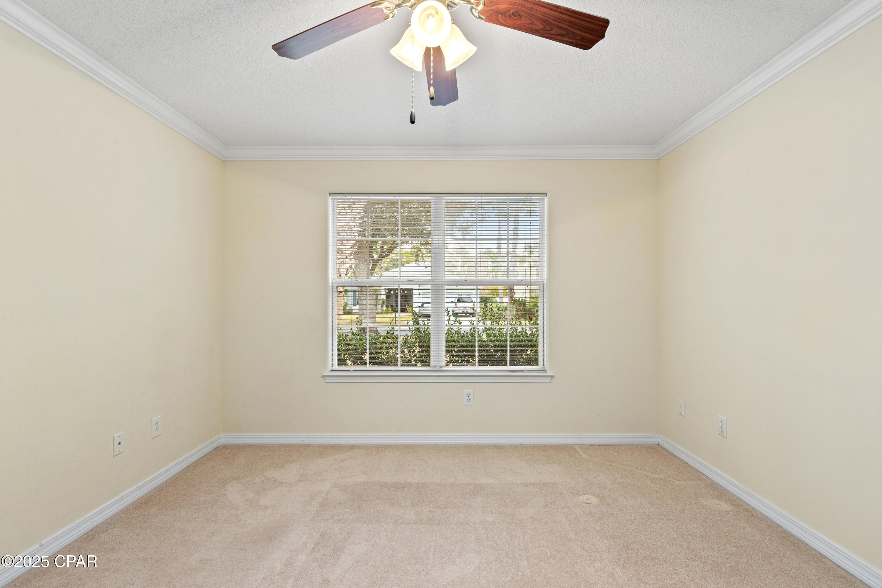 Image 8 For 121 Bainbridge Street