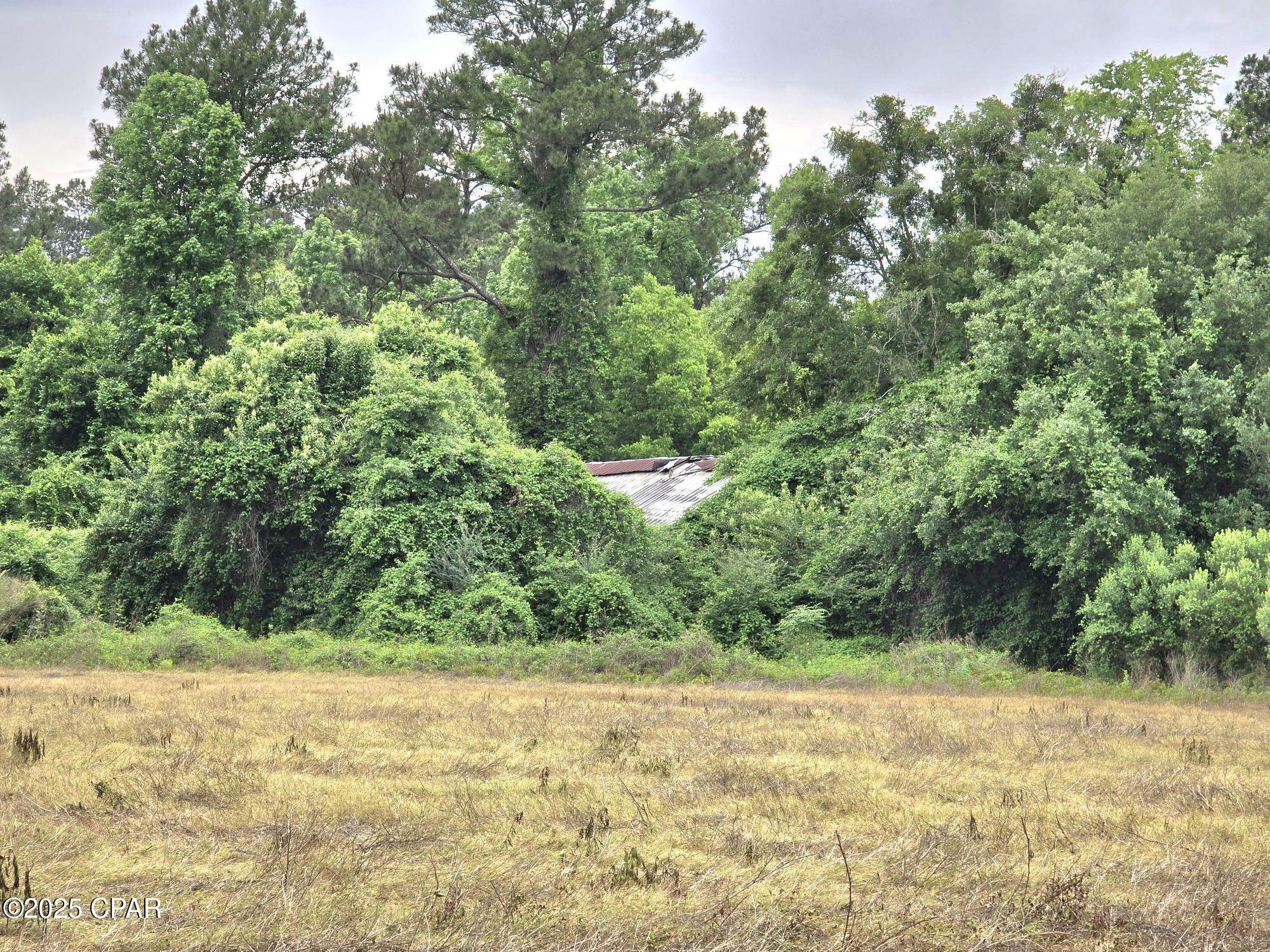 Image 5 For 0 Juniper Creek Road