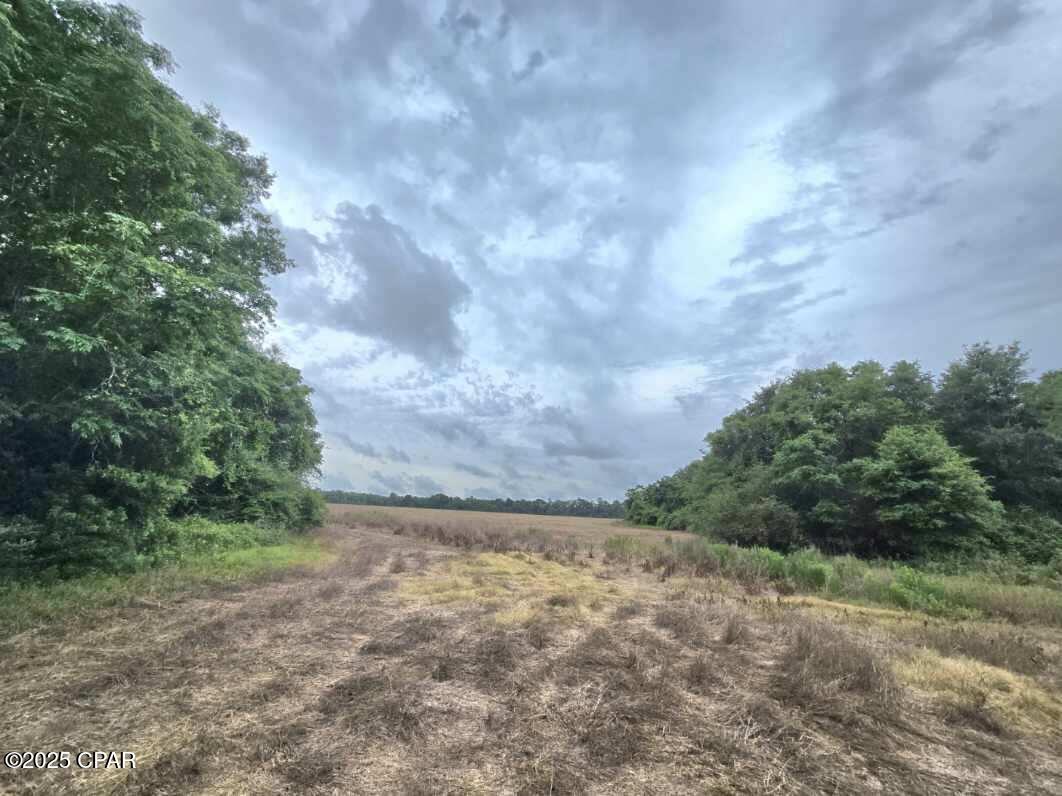 Image 6 For 0 Juniper Creek Road