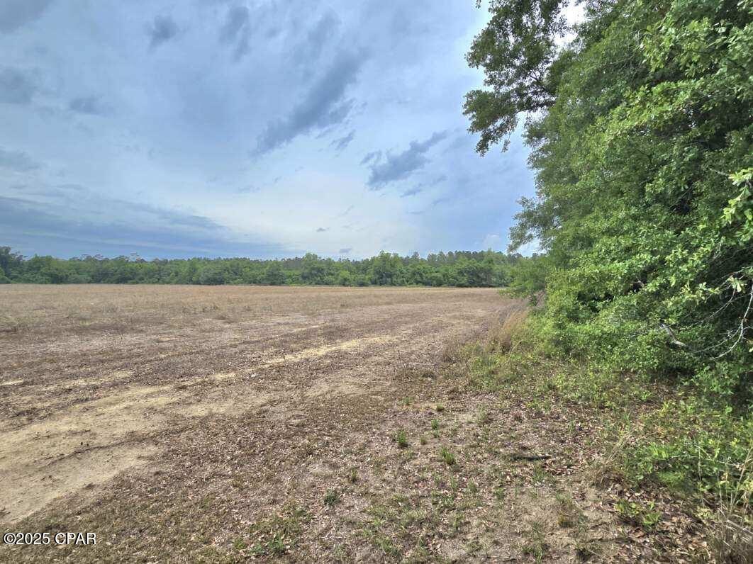 Image 8 For 0 Juniper Creek Road