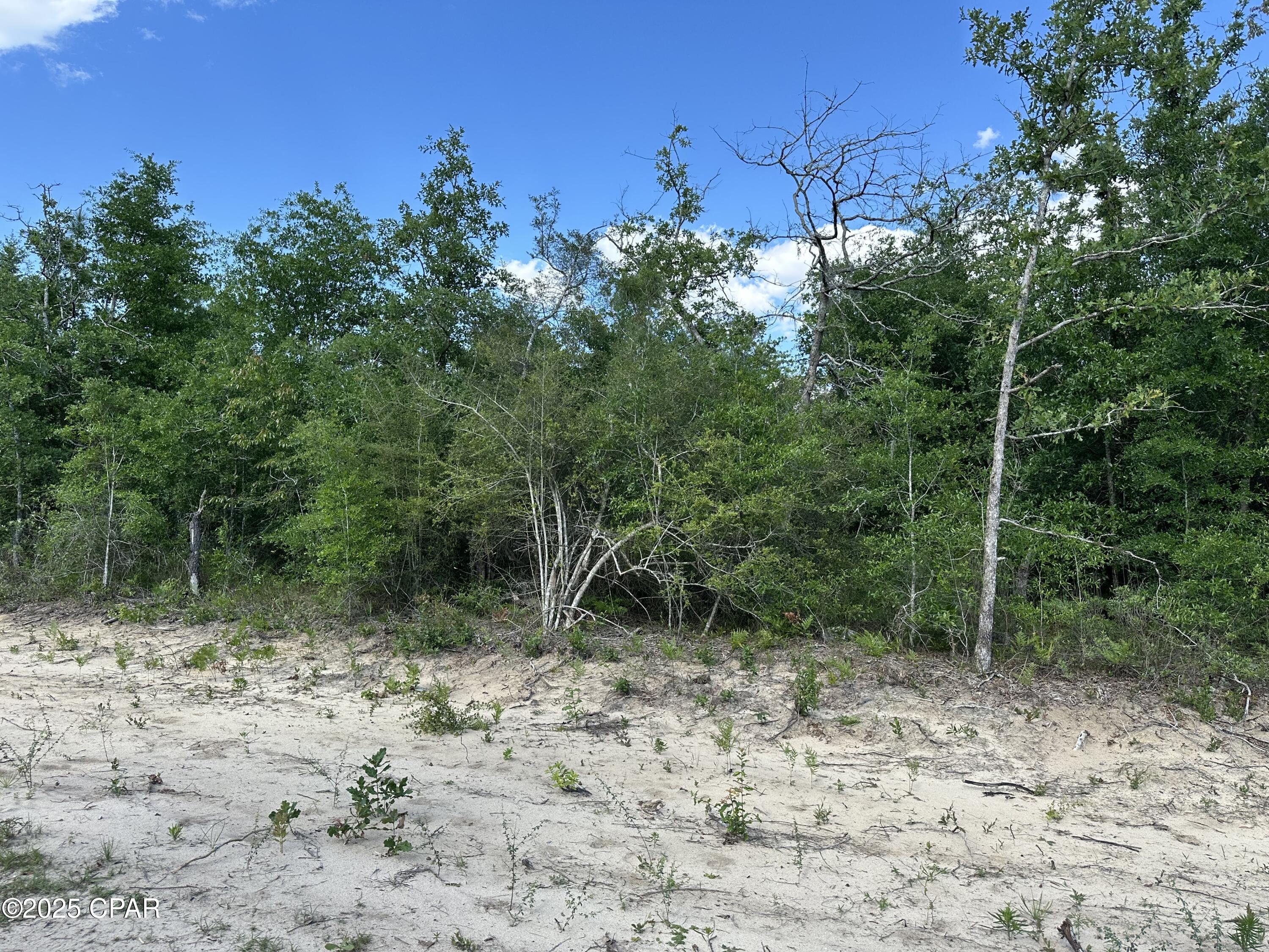 Image 1 For 0000 Lakeside Avenue