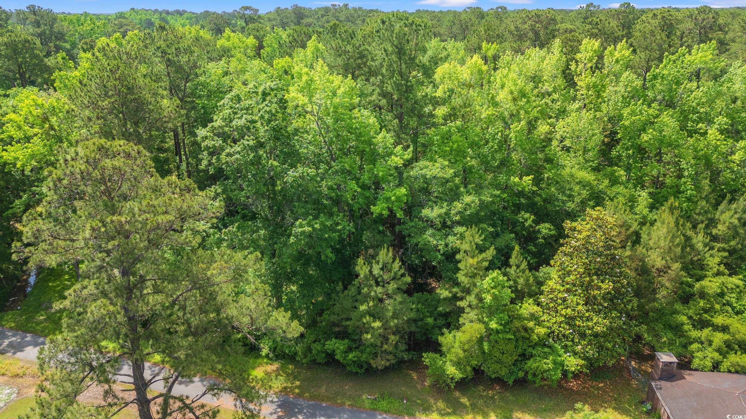 TBD Duncan Ln. Conway, SC 29527