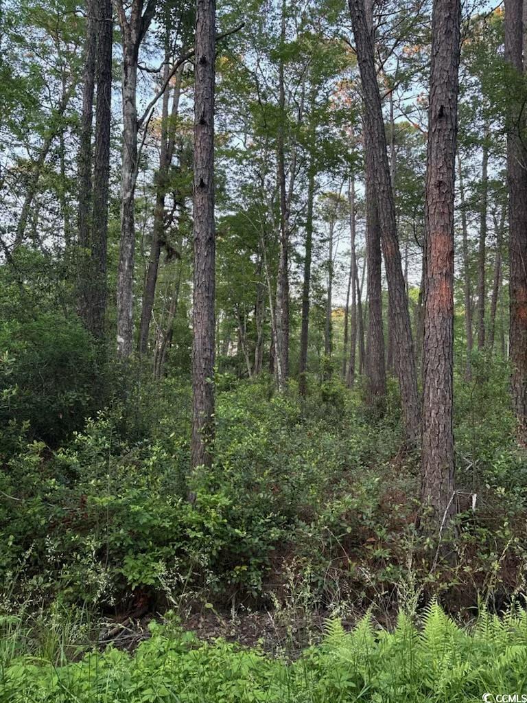 3 Thicketwood Dr. Calabash, NC 28467