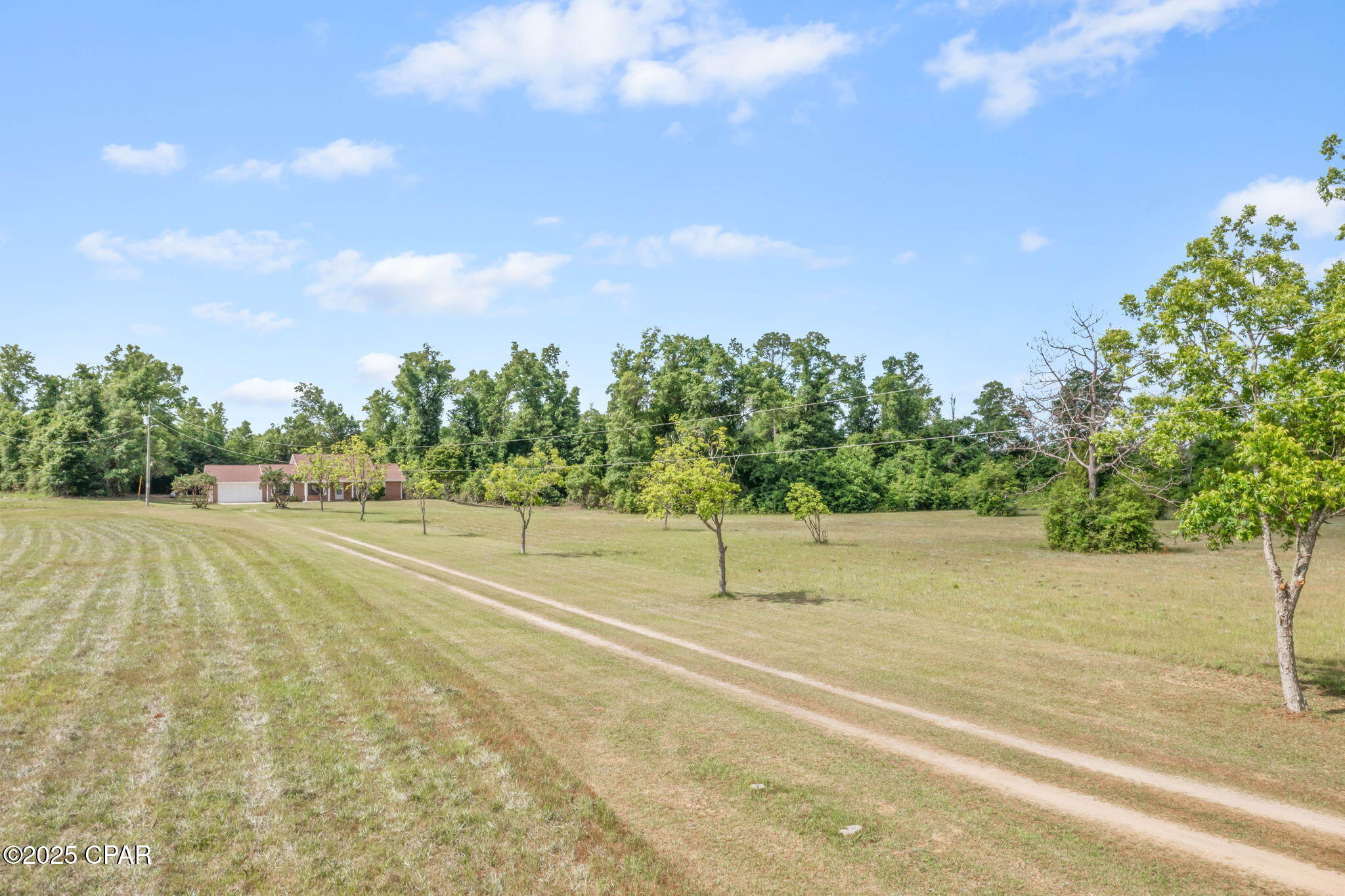 Image 4 For 10367 County Road 274