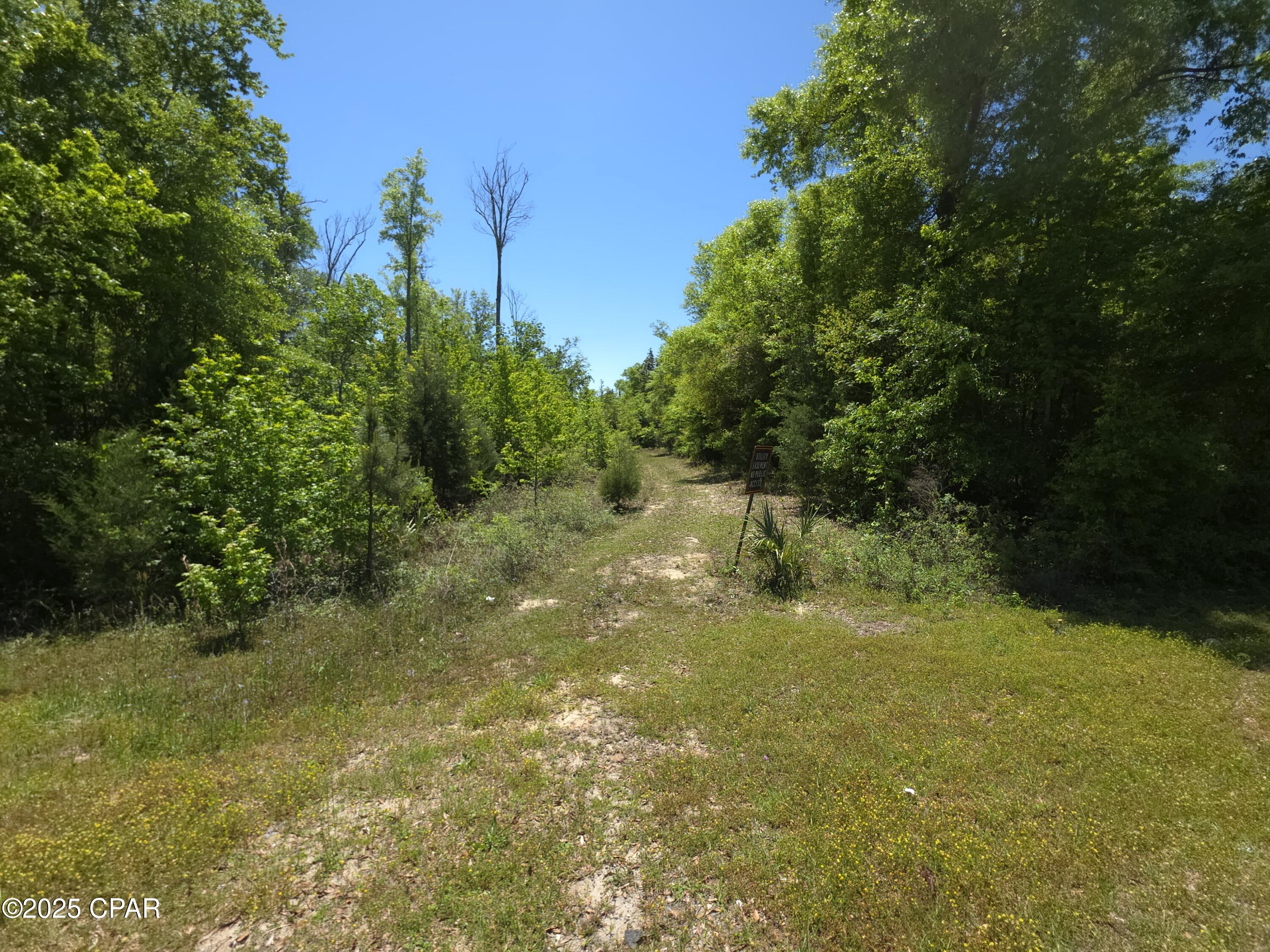 Image 9 For Lot 24 Whitetail Dr