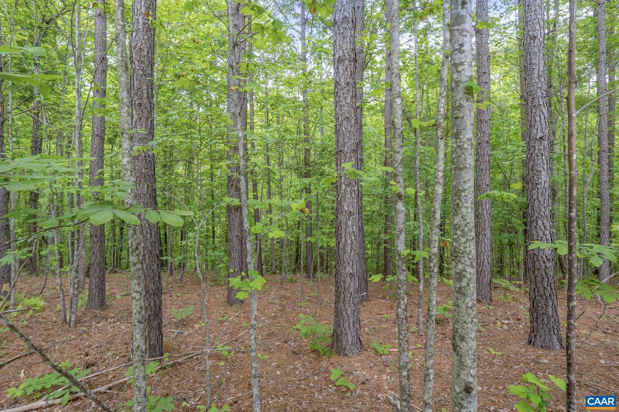 2508 Thomas Jefferson Pkwy