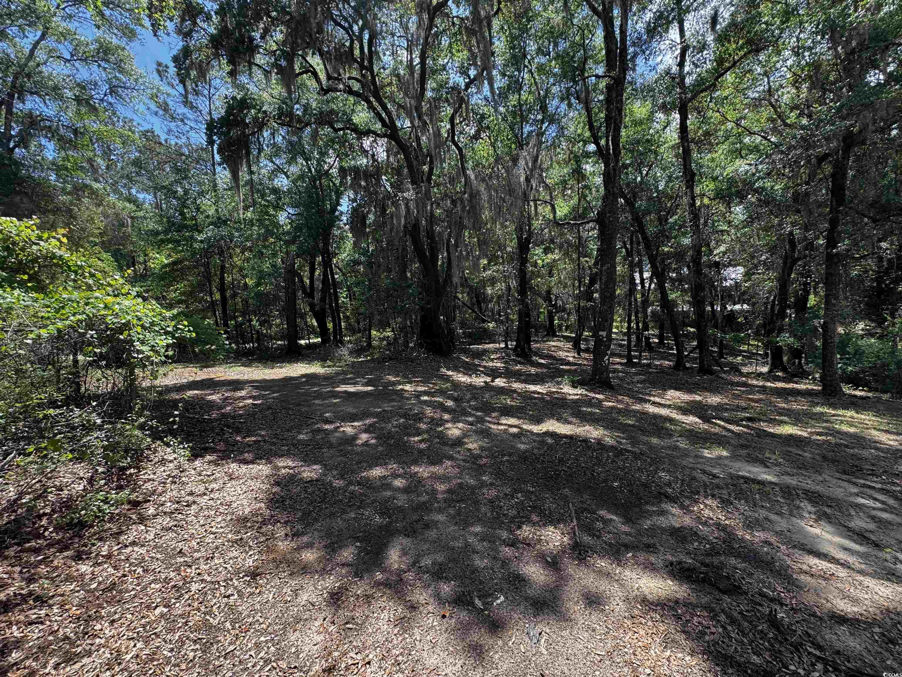 455 Crow Hill Dr., Georgetown, South Carolina image 12
