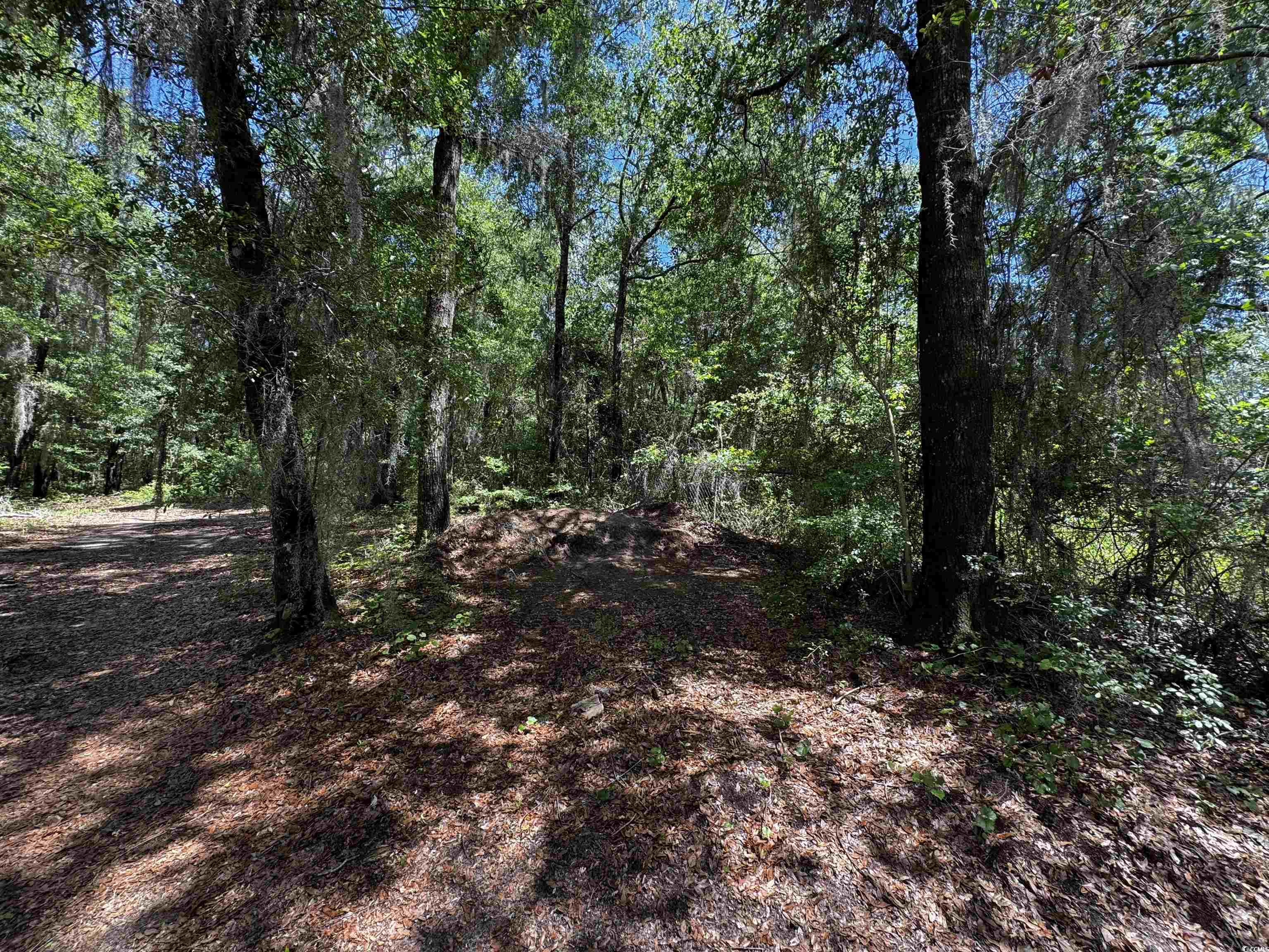 455 Crow Hill Dr., Georgetown, South Carolina image 13