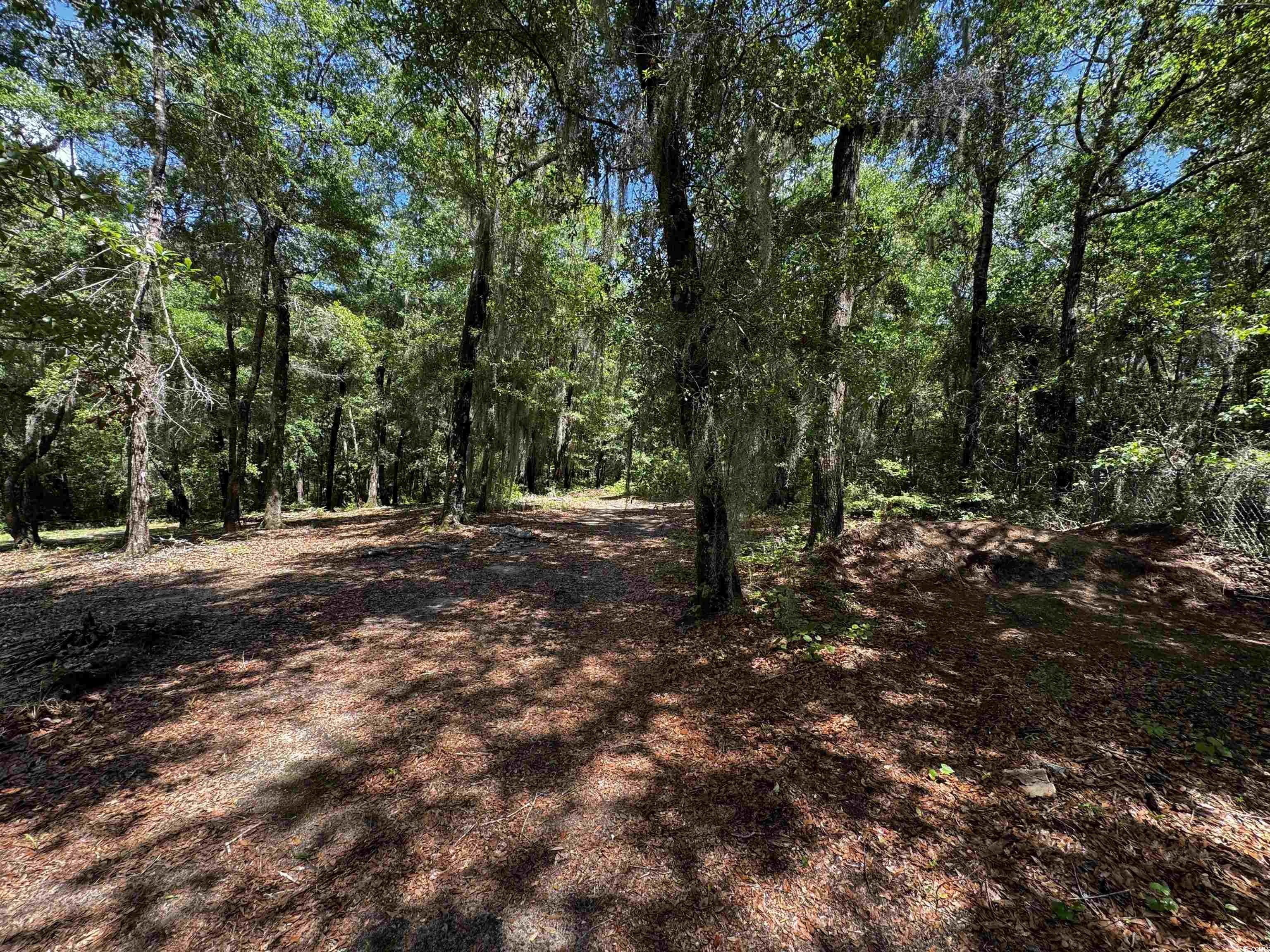455 Crow Hill Dr., Georgetown, South Carolina image 14