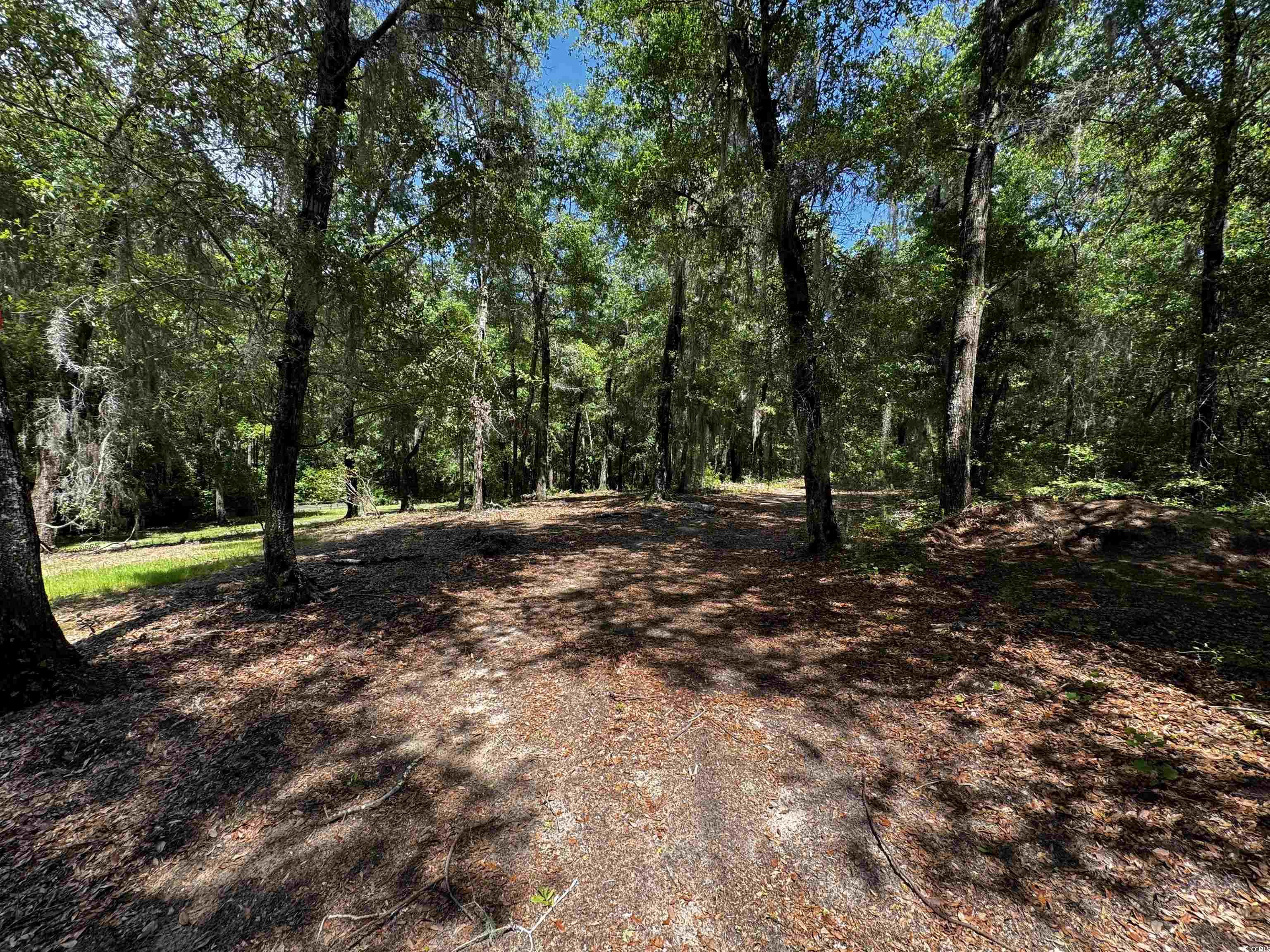 455 Crow Hill Dr., Georgetown, South Carolina image 17